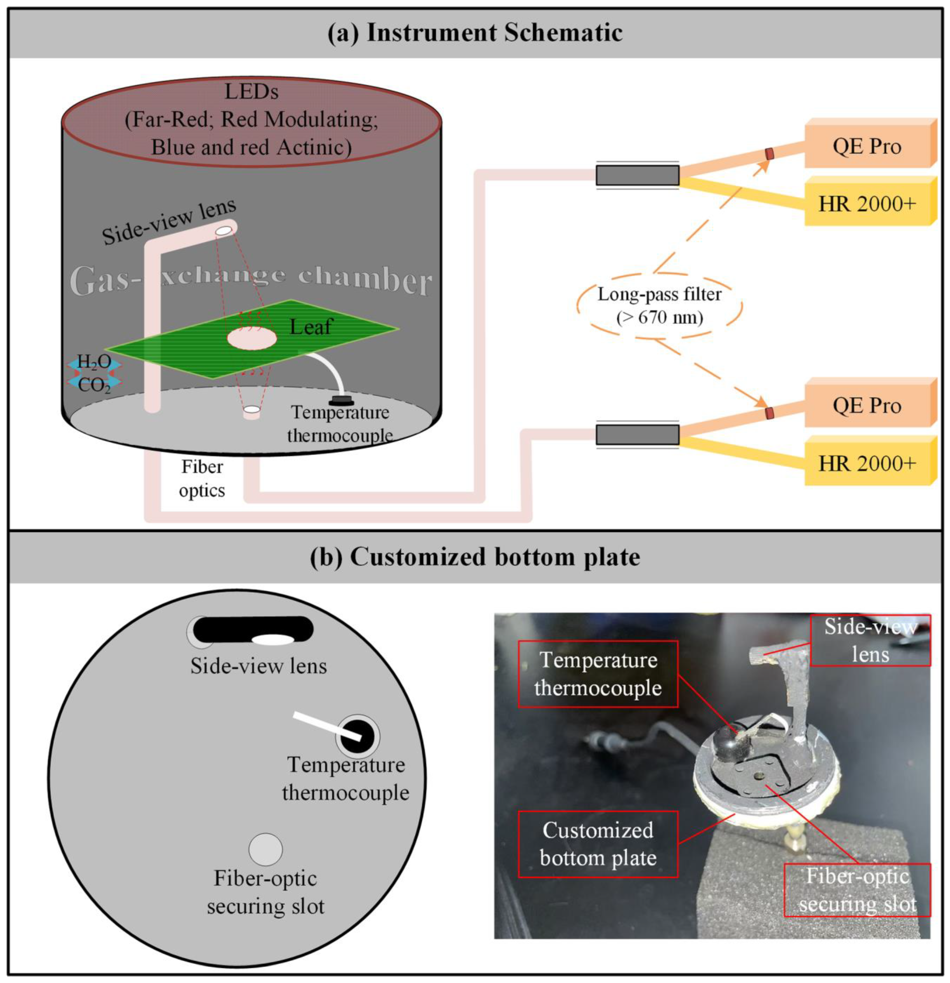 Sensors 25 01700 g001