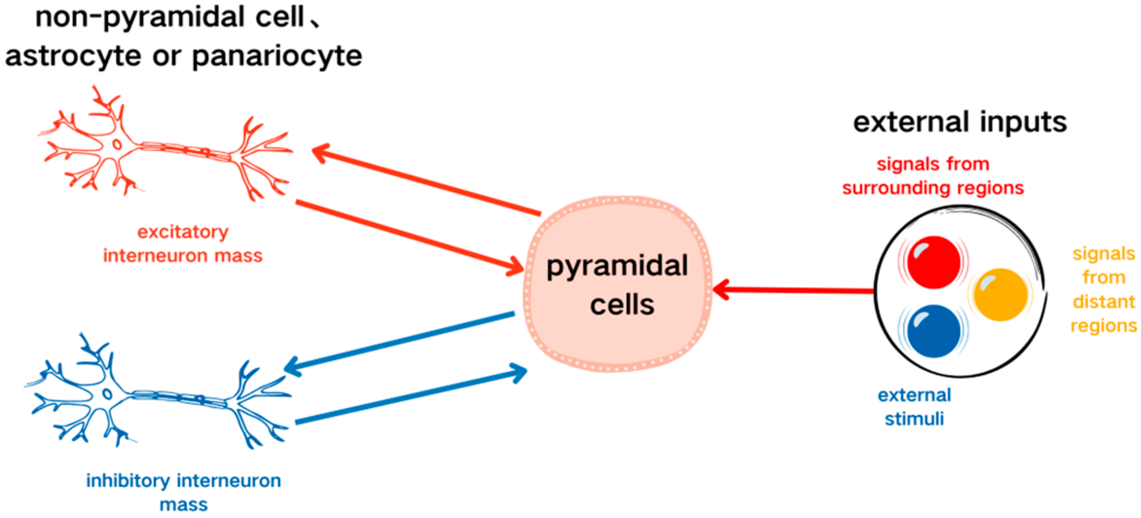 Sensors 25 01706 g001 Sensors 25 01706 g001