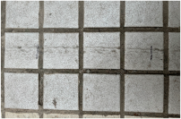 Sensors 25 01721 i008