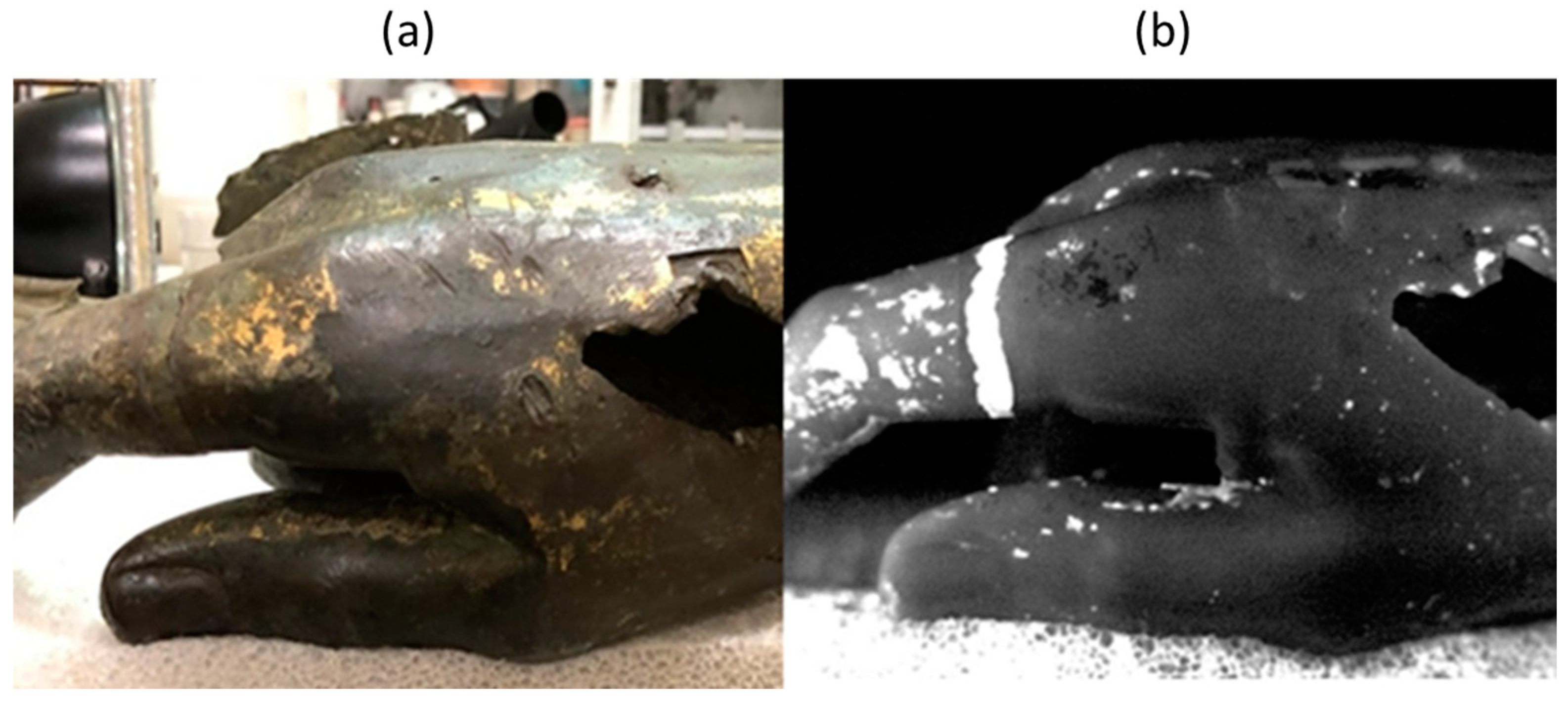 Sensors 25 01727 g007