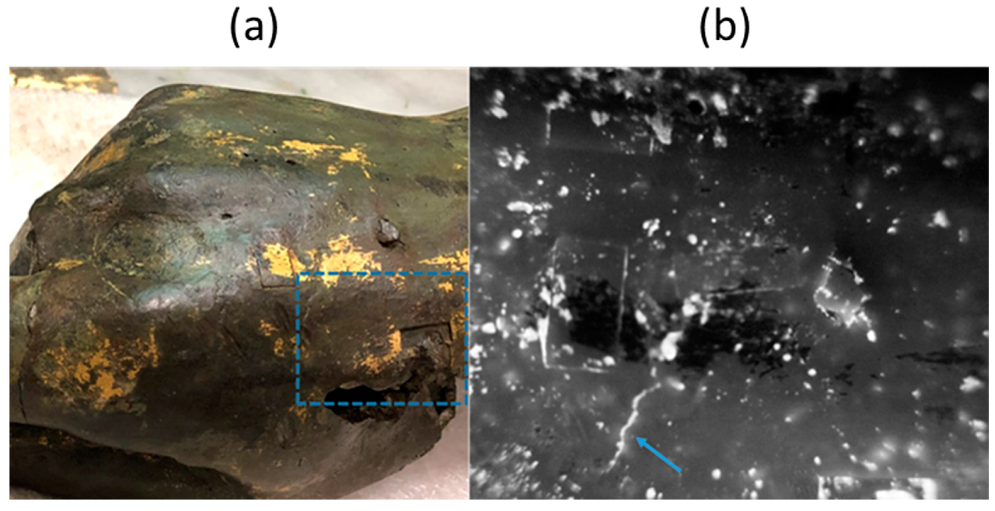 Sensors 25 01727 g009