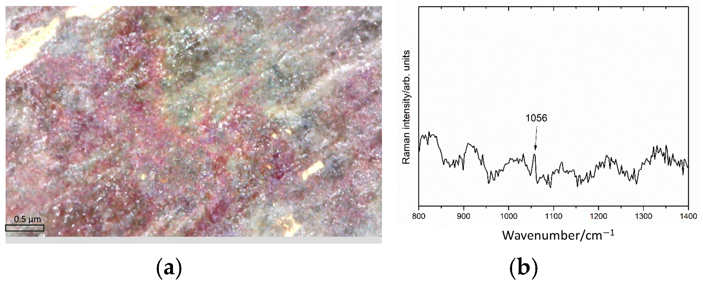 Sensors 25 01727 g011