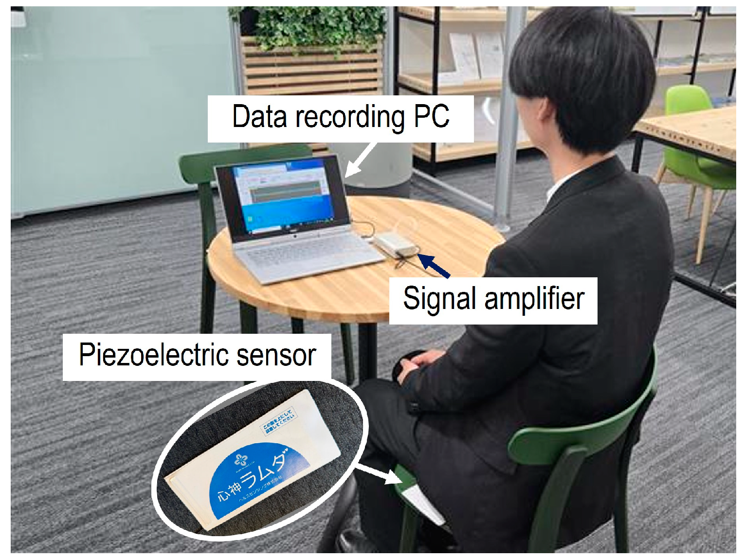 Sensors 25 01732 g003