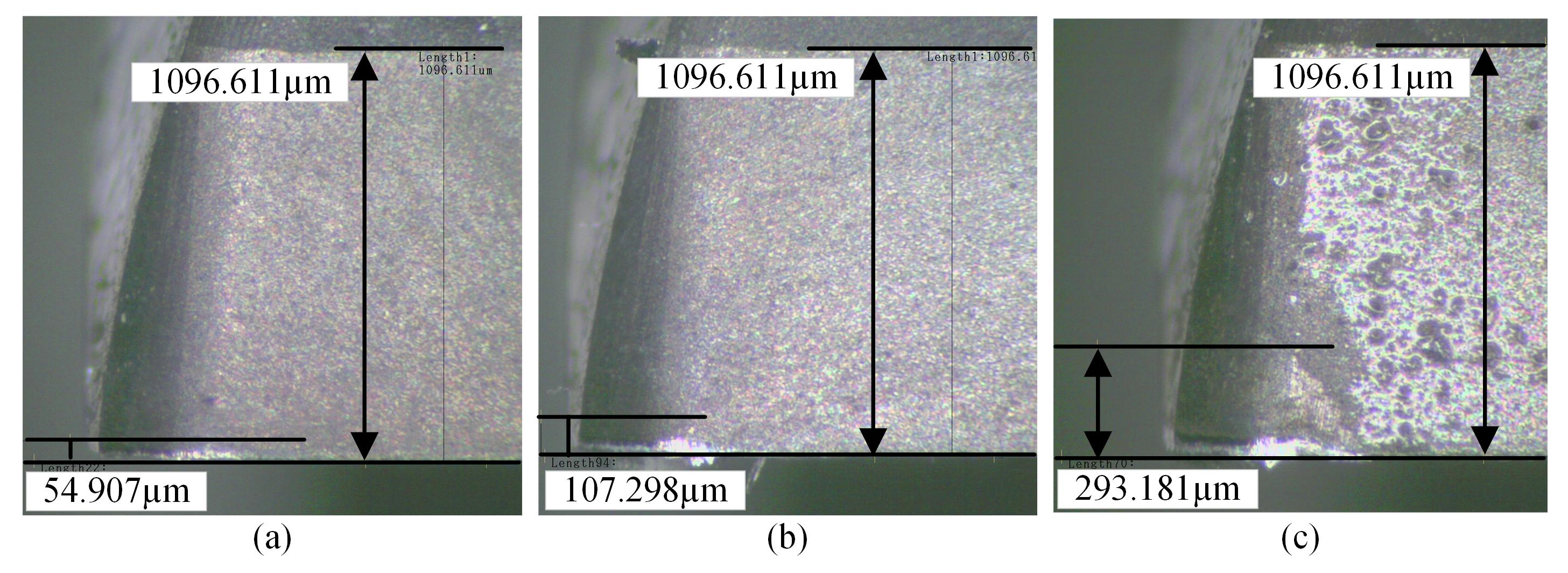 Sensors 25 01742 g007