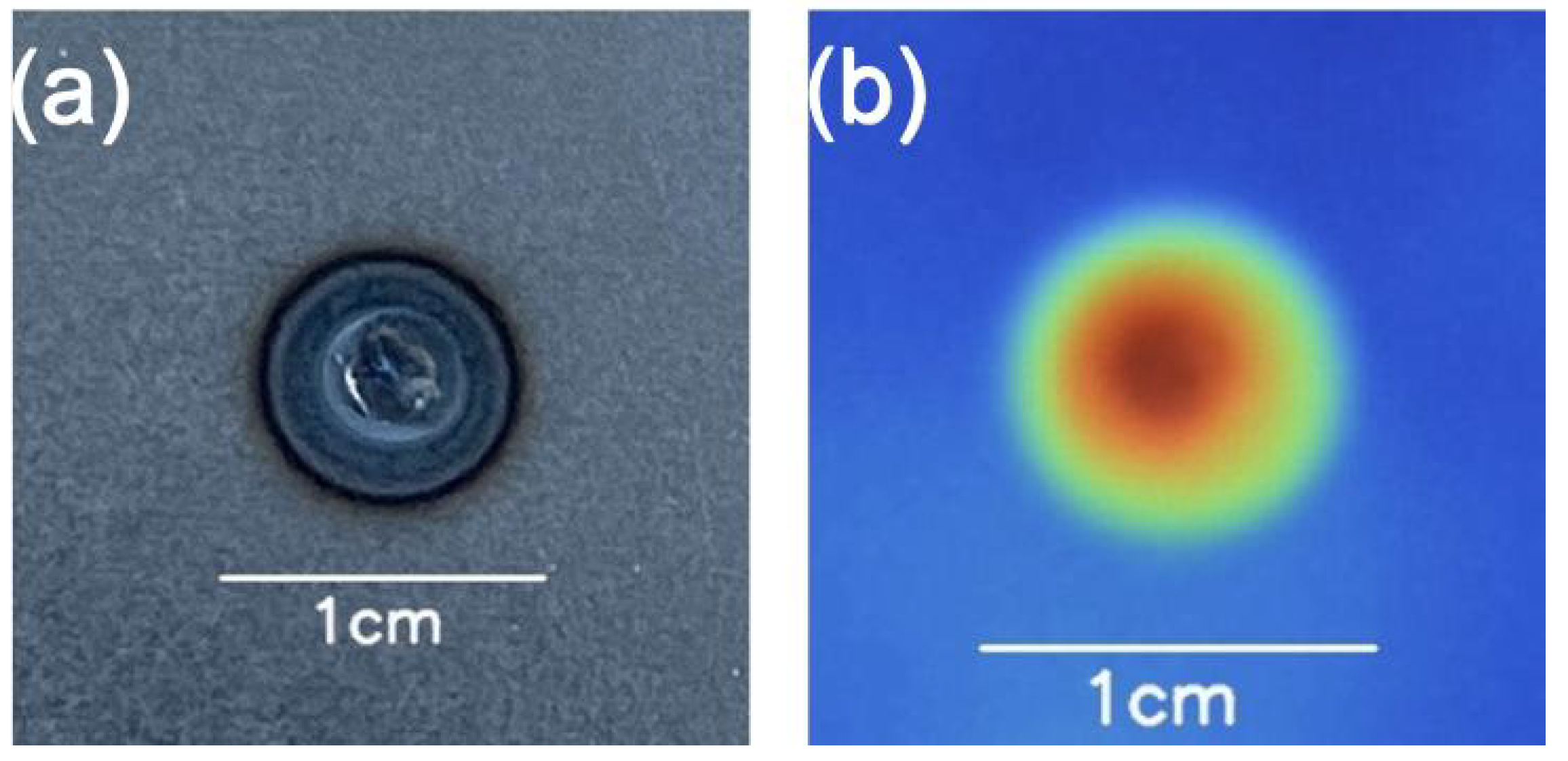 Sensors 25 01744 g005