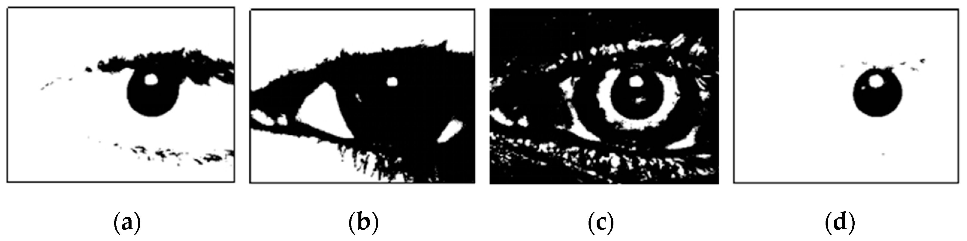 Sensors 25 01749 g005