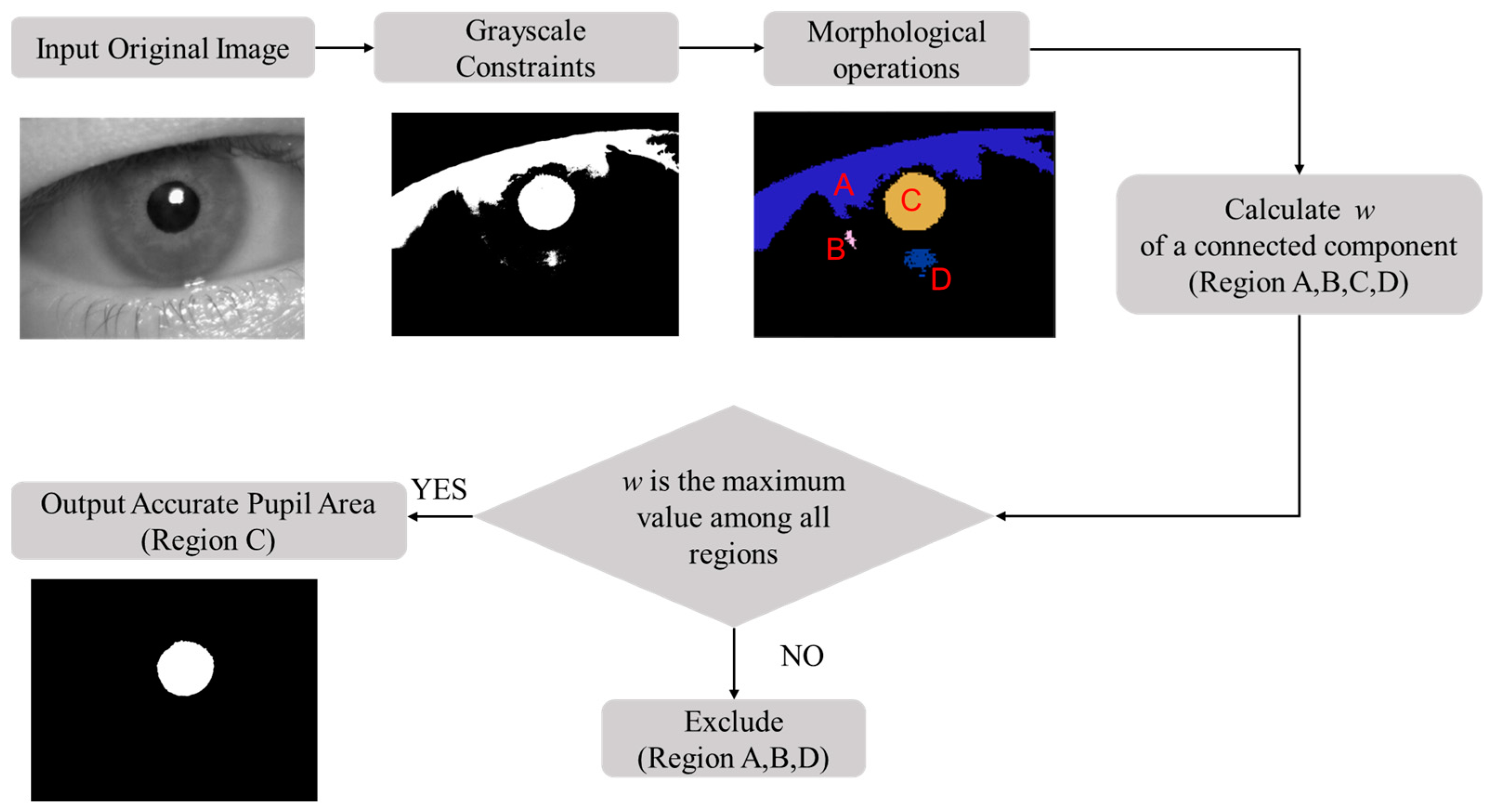 Sensors 25 01749 g006