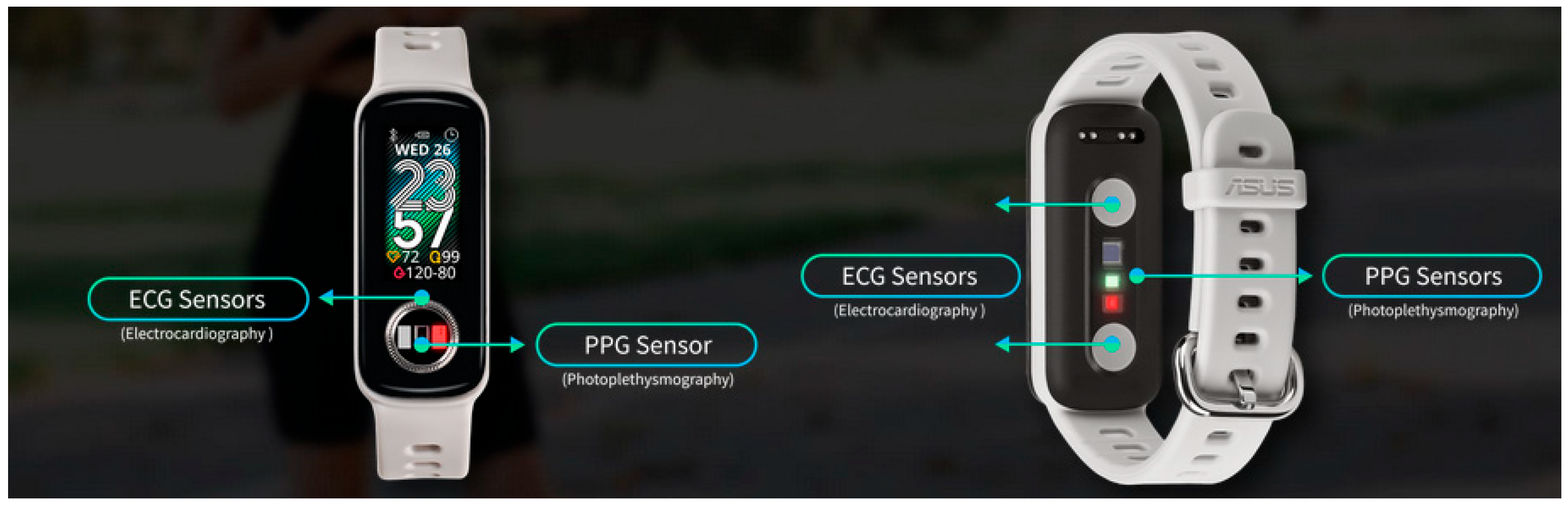 Sensors 25 01771 g002