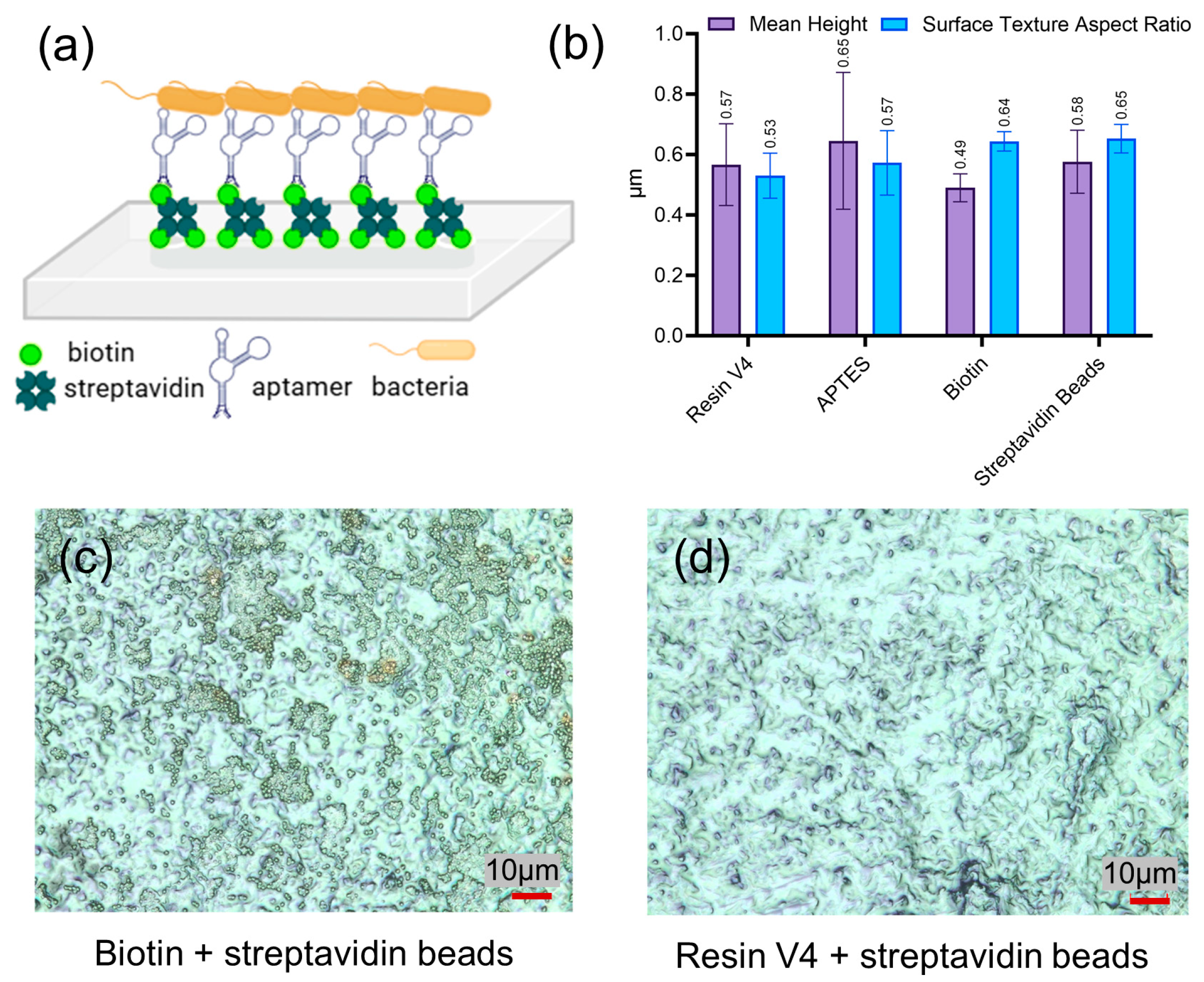 Sensors 25 01774 g004