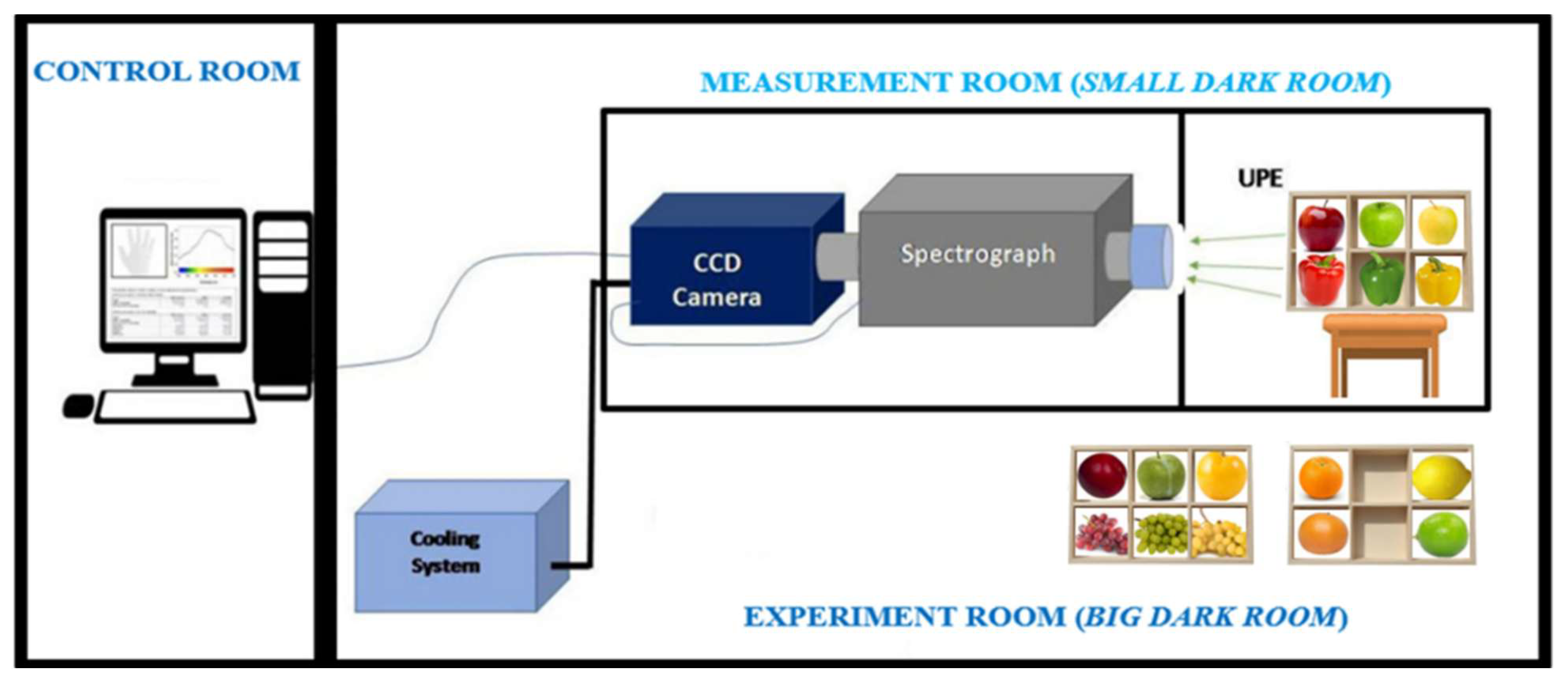 Sensors 25 01799 g001