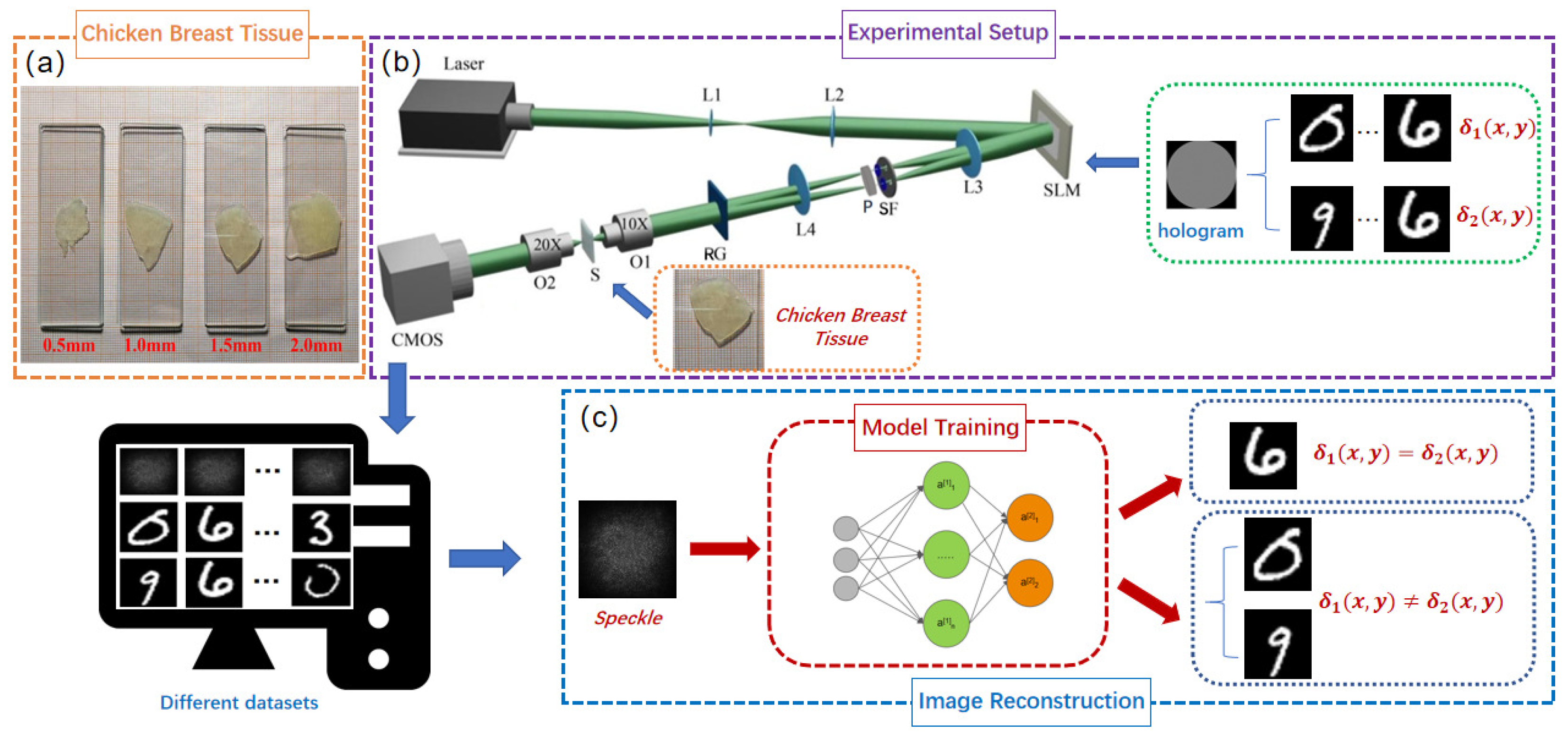 Sensors 25 01803 g002