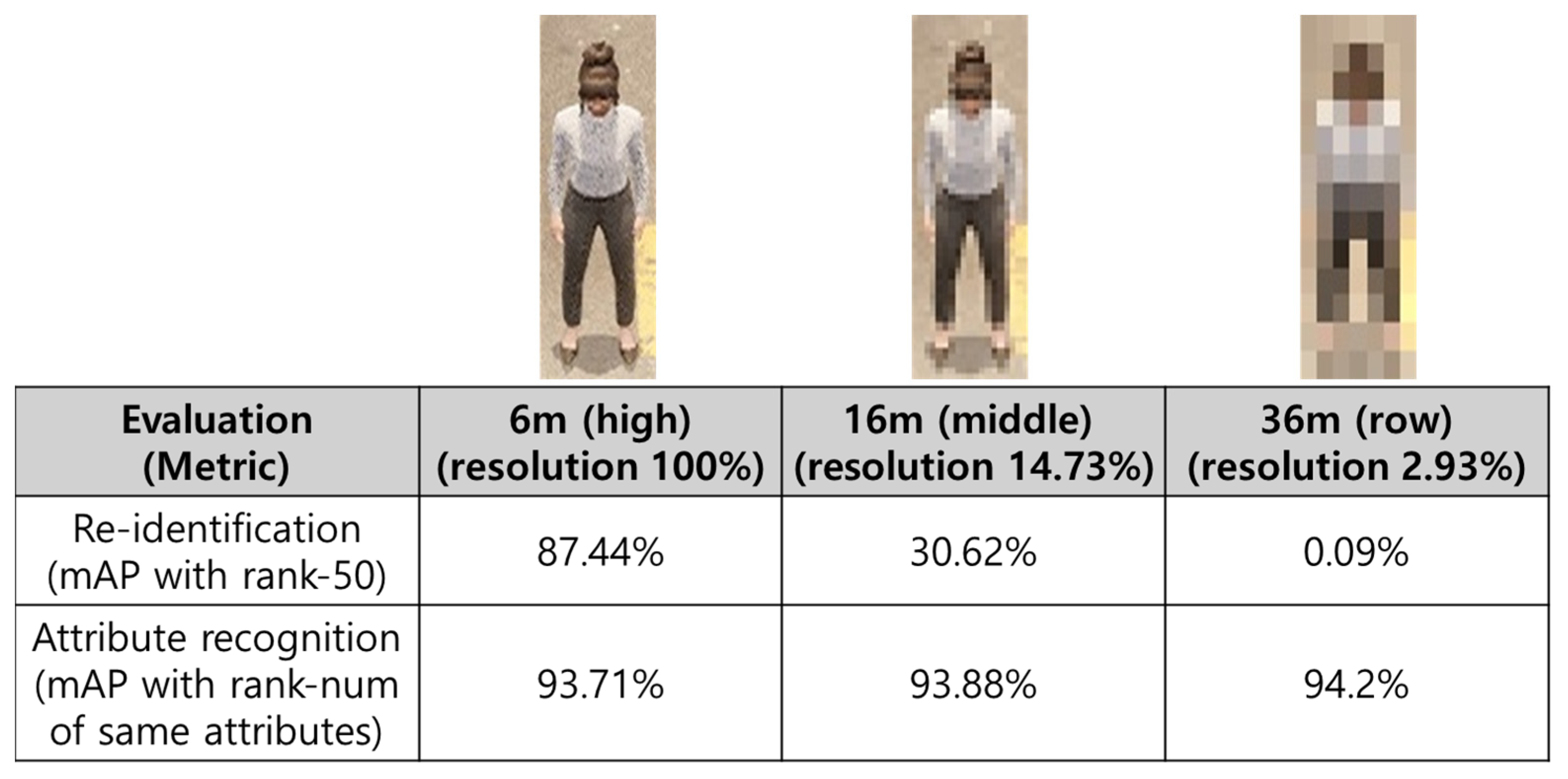 Sensors 25 01819 g005