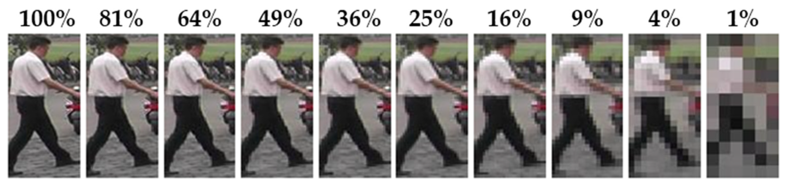 Sensors 25 01819 g010