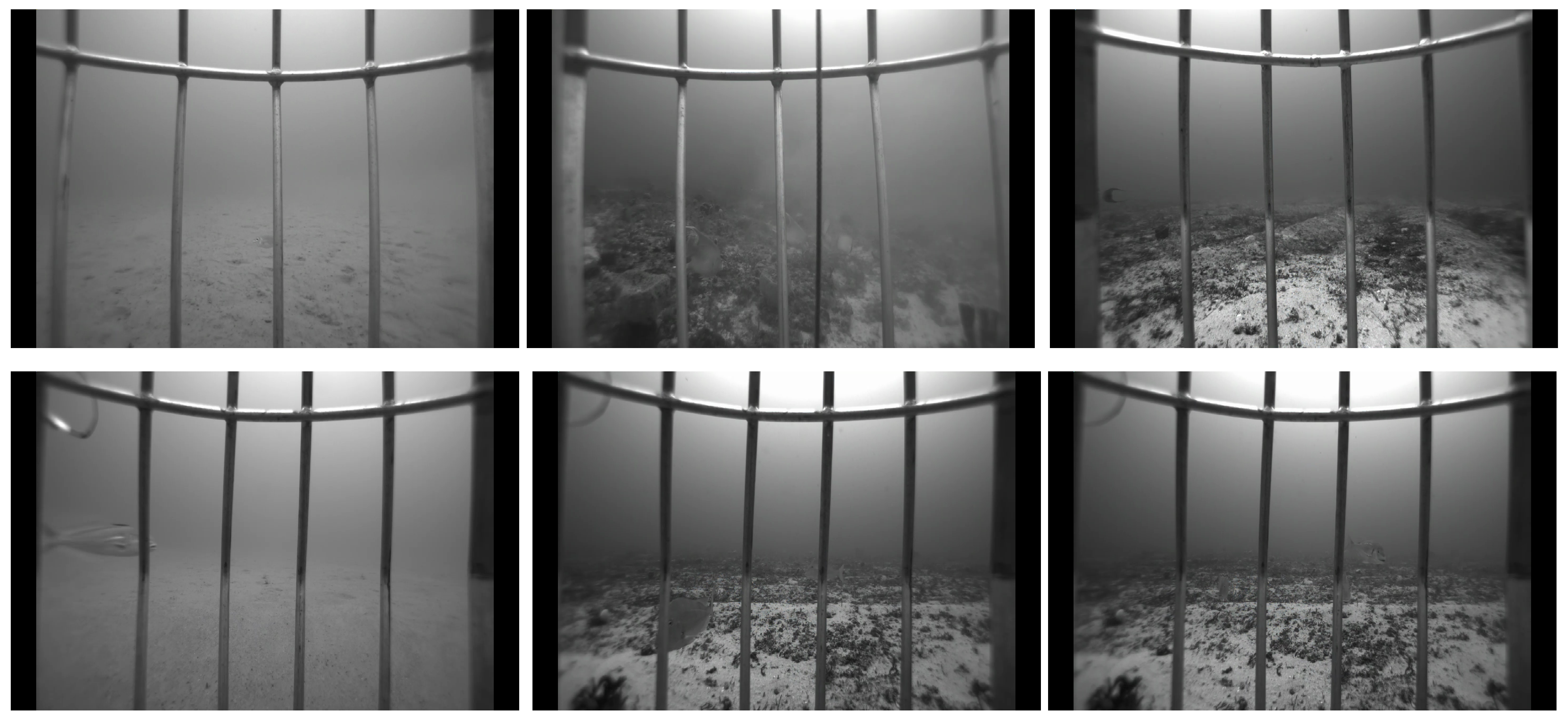 Sensors 25 01846 g005a