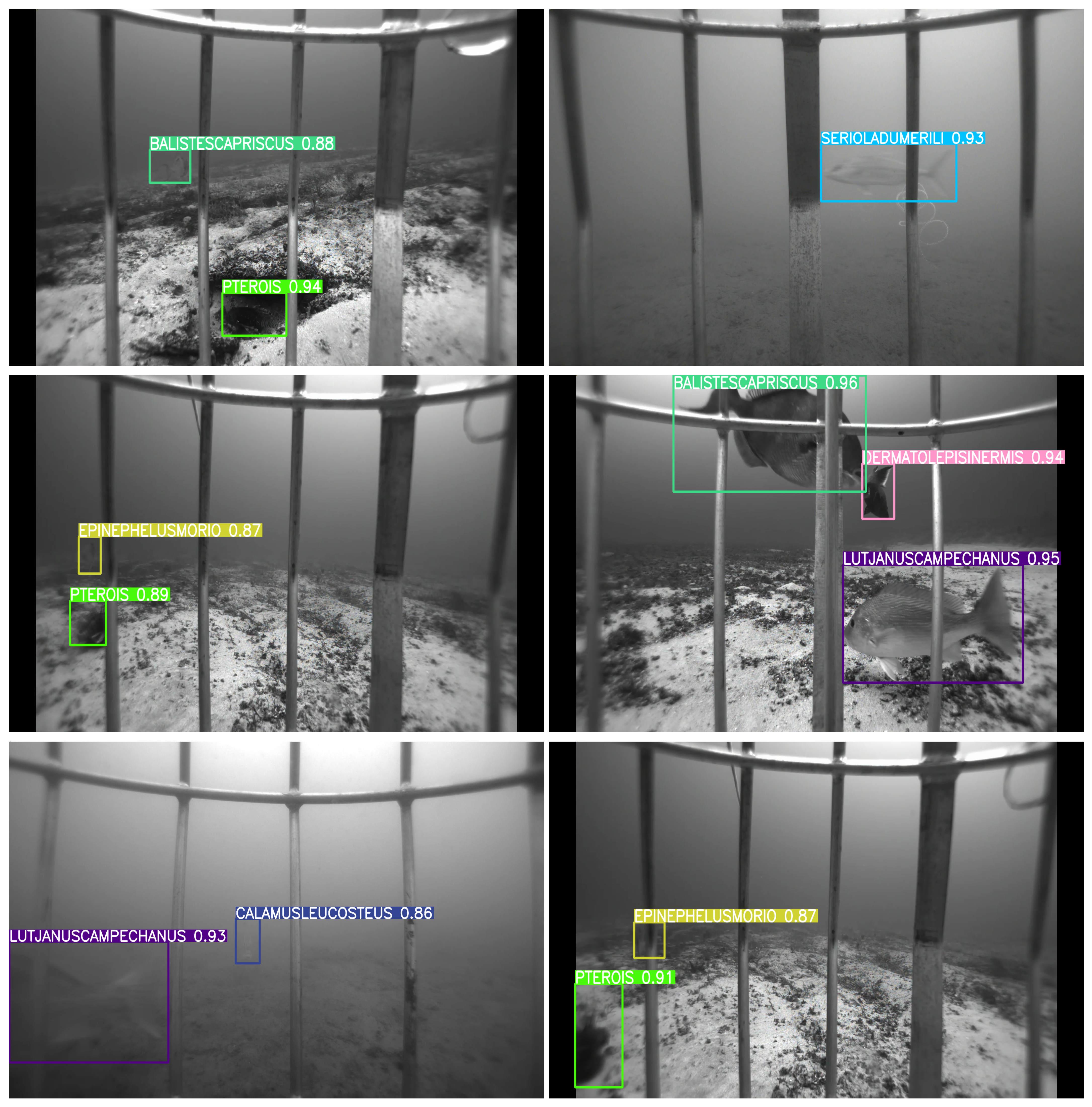 Sensors 25 01846 g010