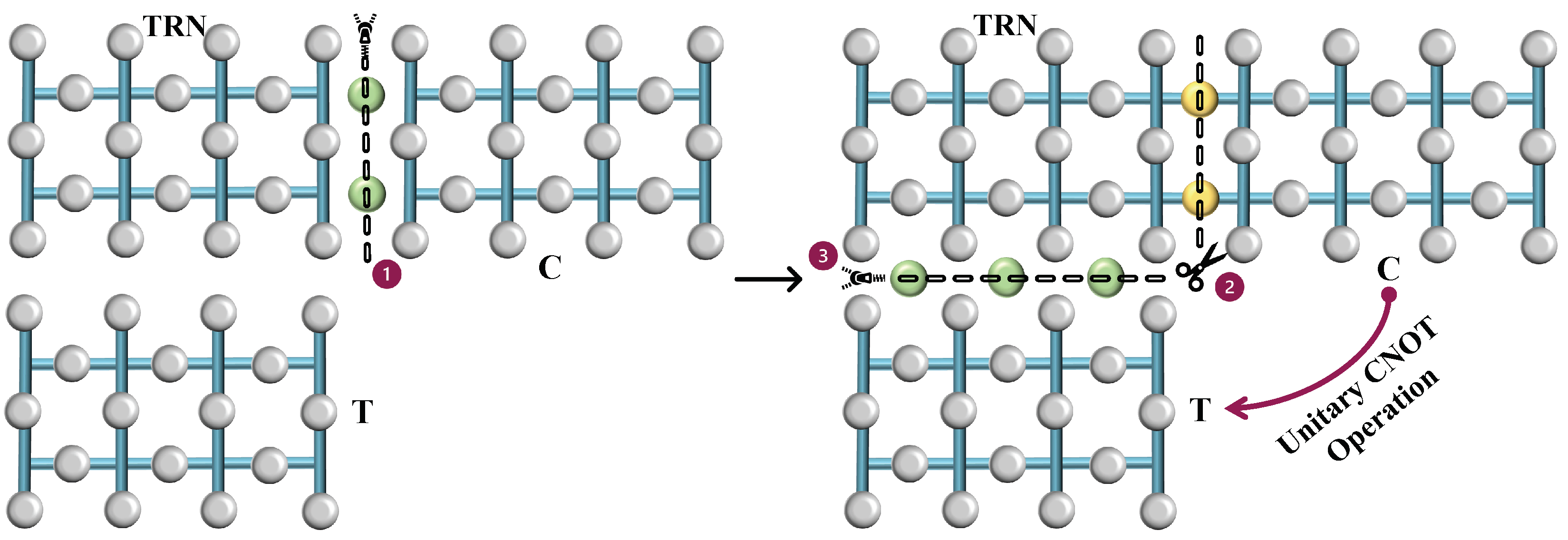 Sensors 25 01854 g006