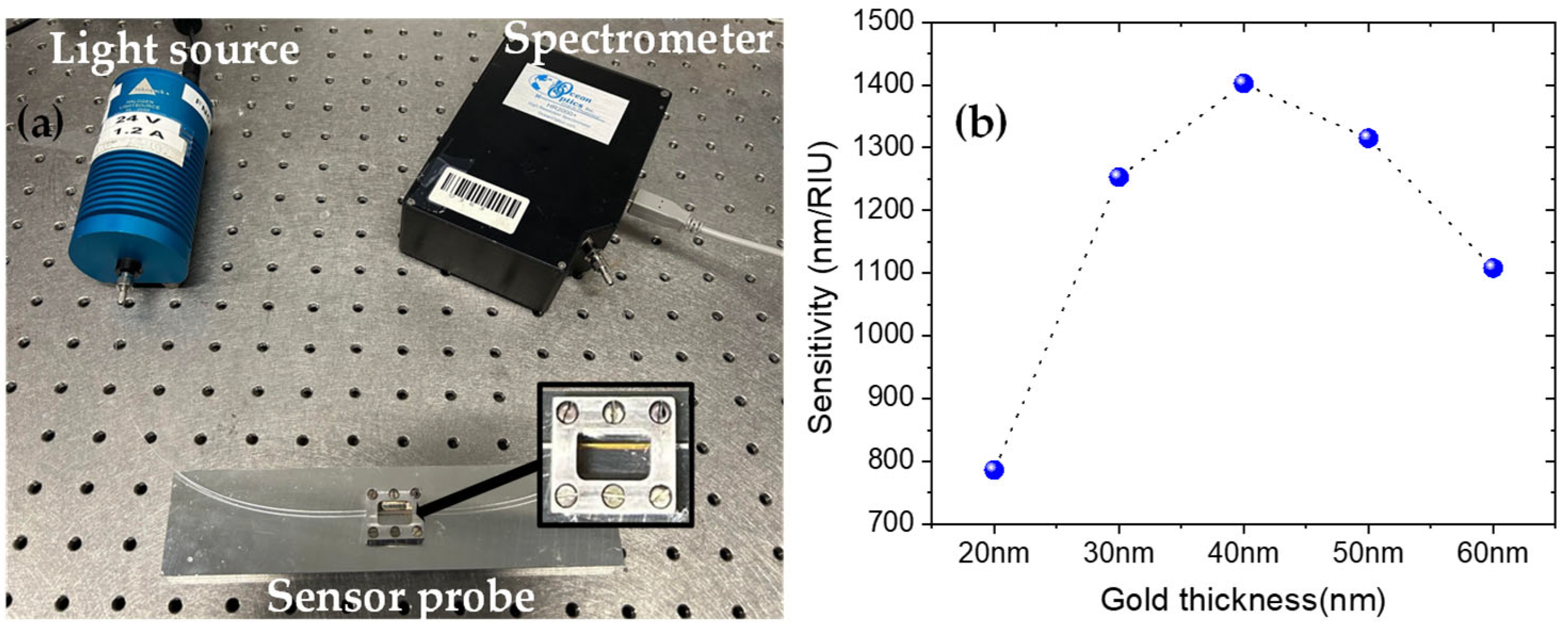 Sensors 25 01863 g001