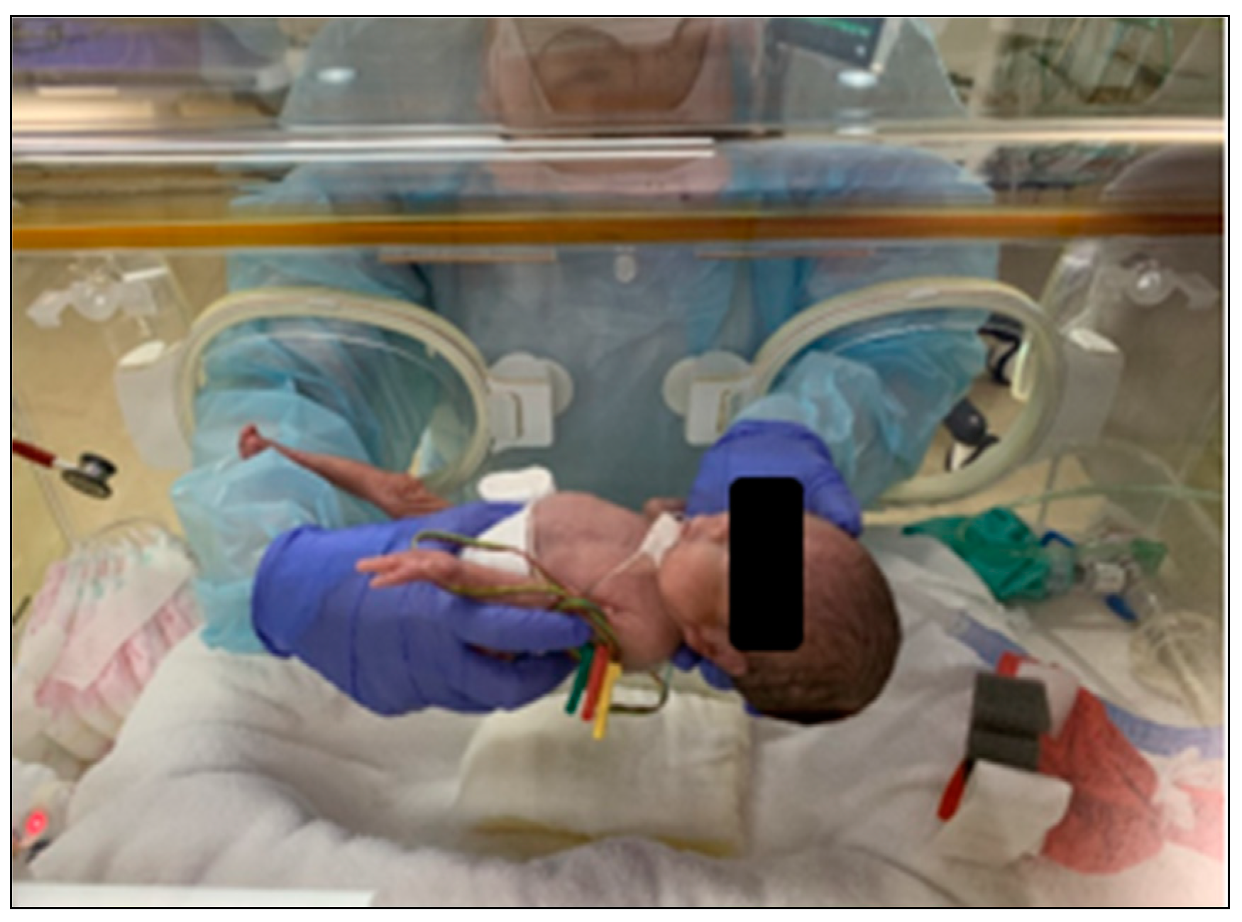 Sensors 25 01869 g001