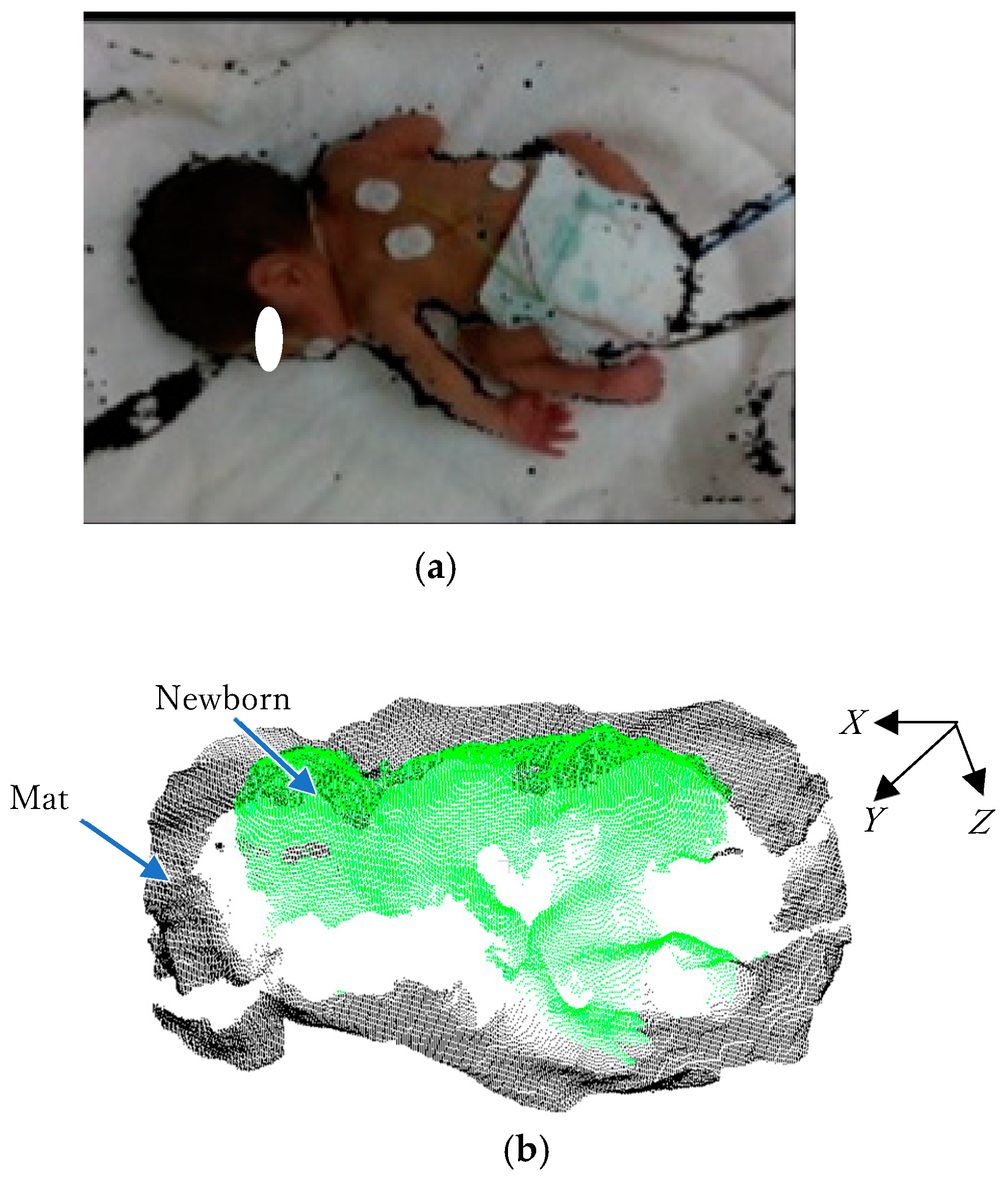 Sensors 25 01869 g004