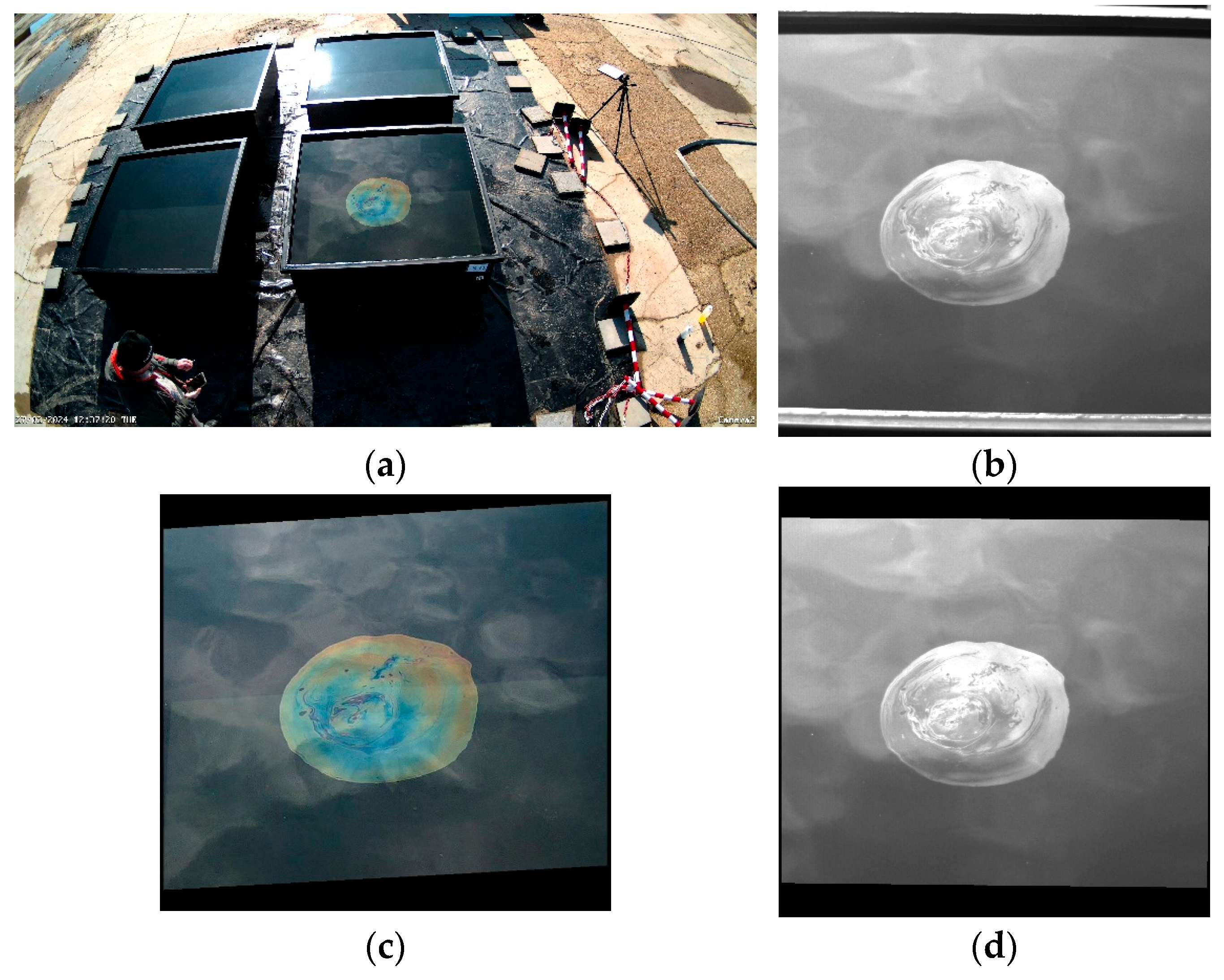 Sensors 25 01927 g004