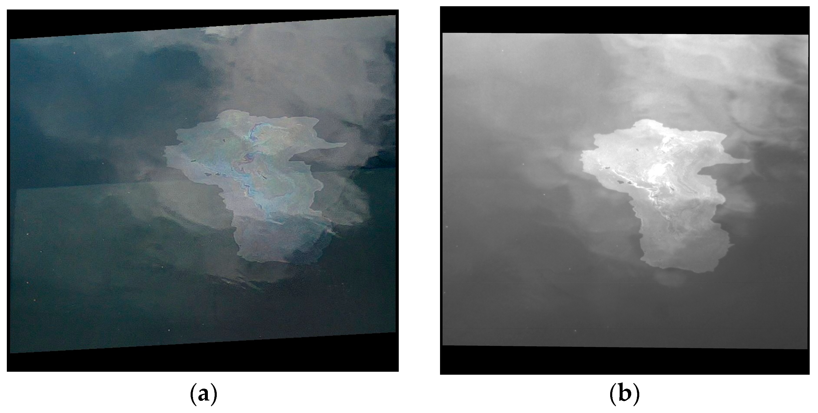 Sensors 25 01927 g016a