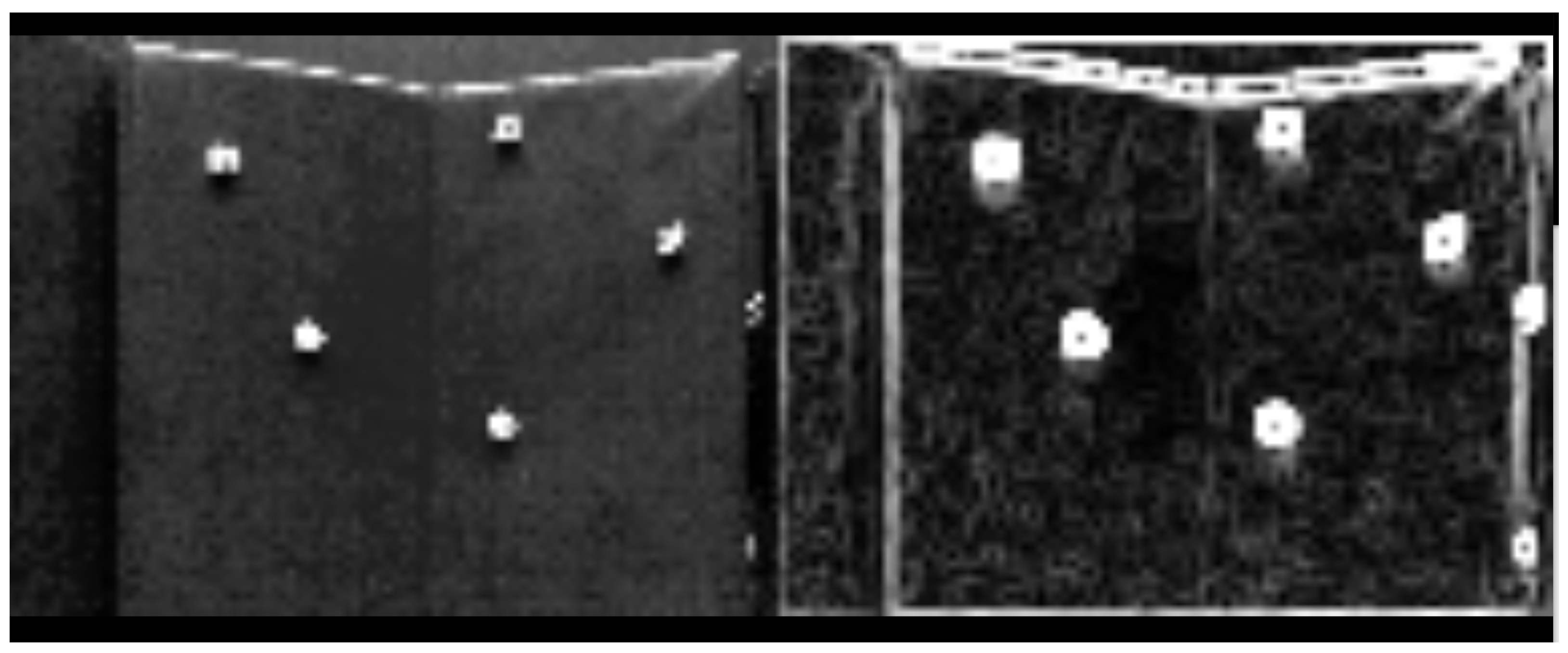 Sensors 25 01939 g005