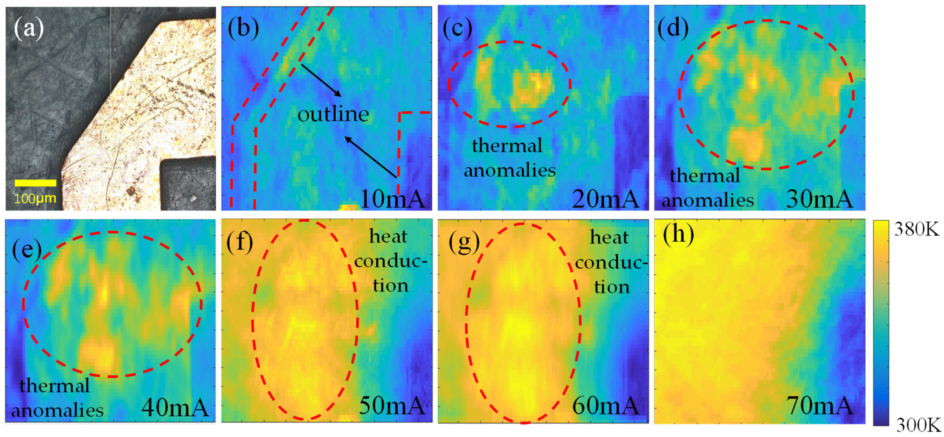 Sensors 25 01947 g005