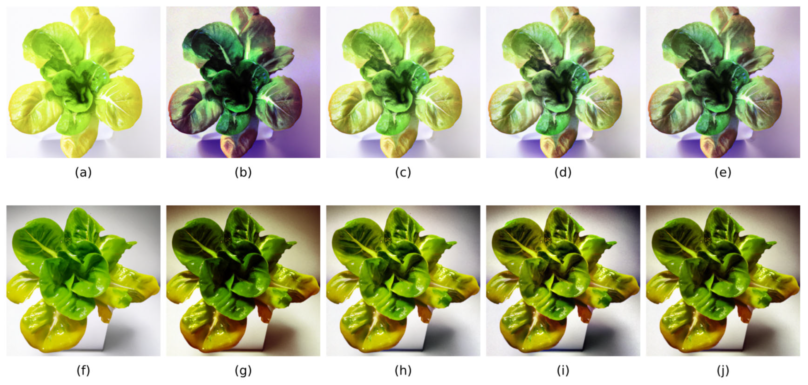 Sensors 25 01957 g004