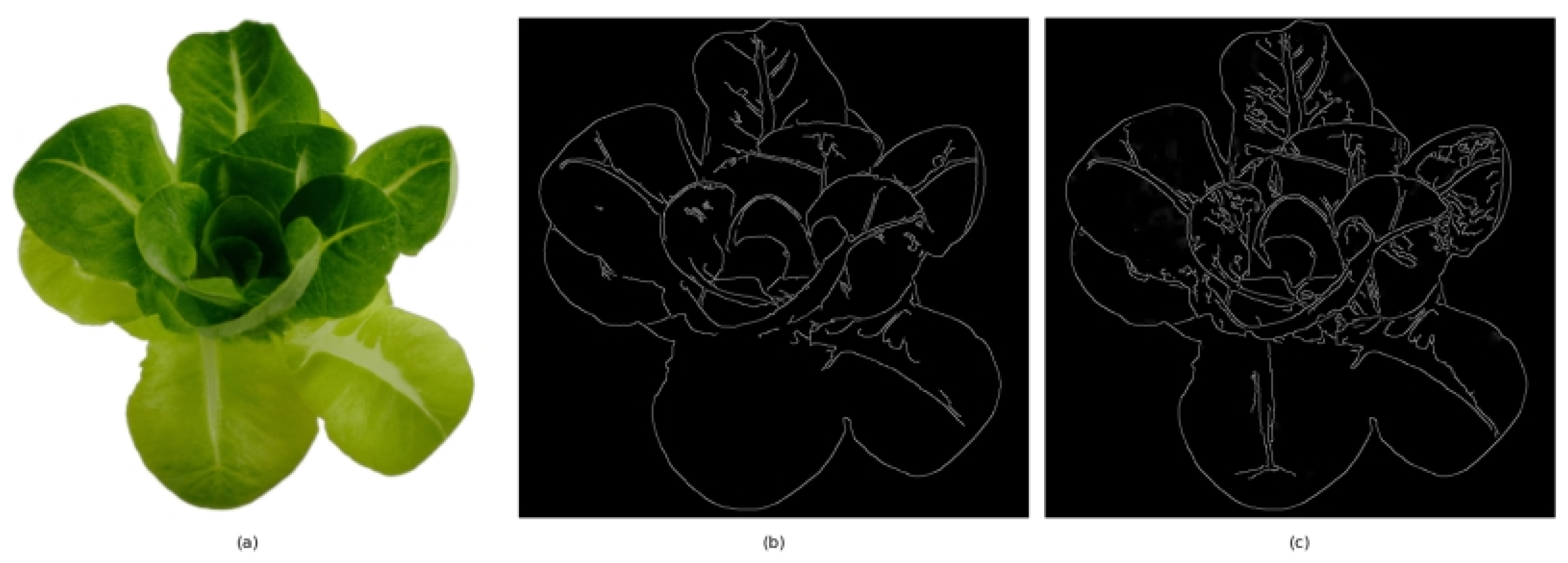 Sensors 25 01957 g007
