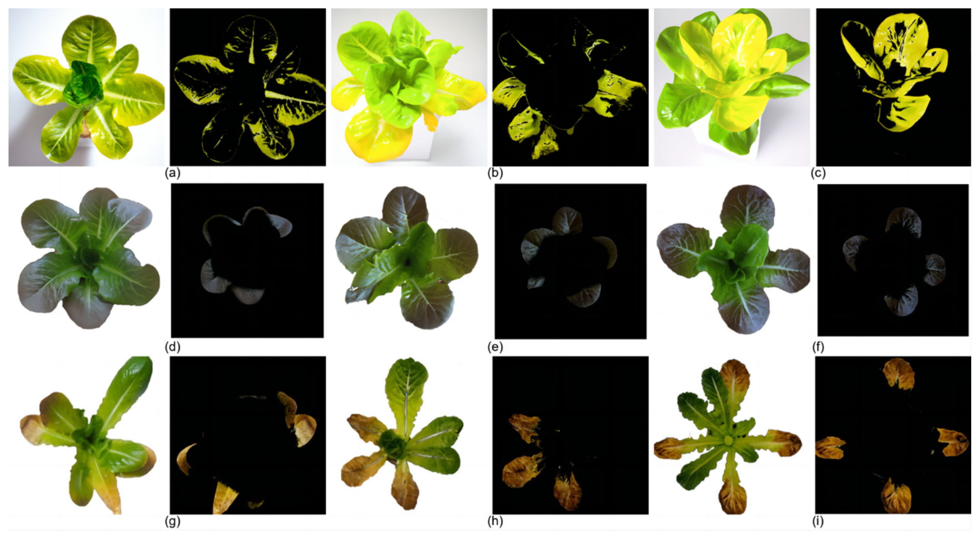 Sensors 25 01957 g012