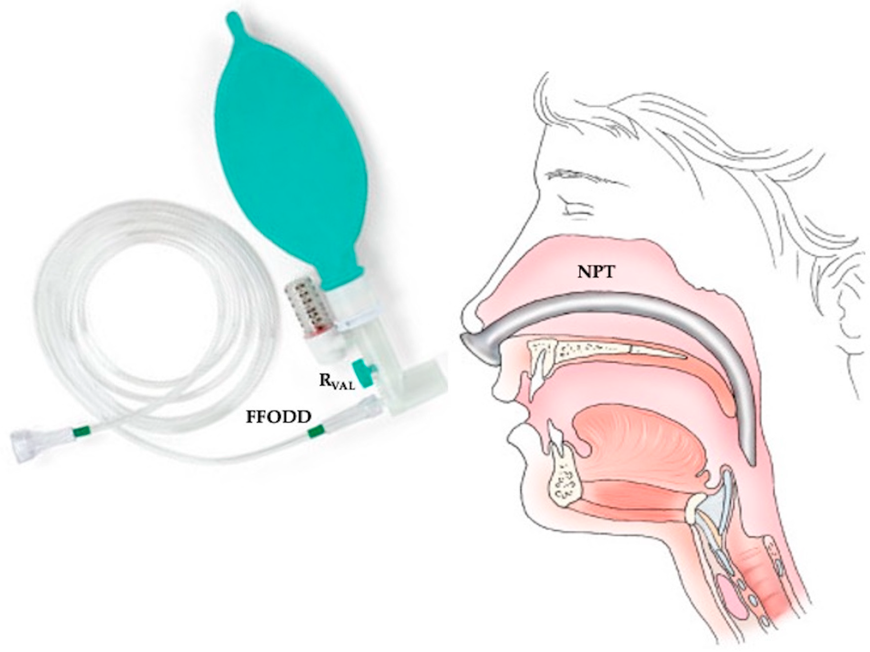 Sensors 25 02022 g001