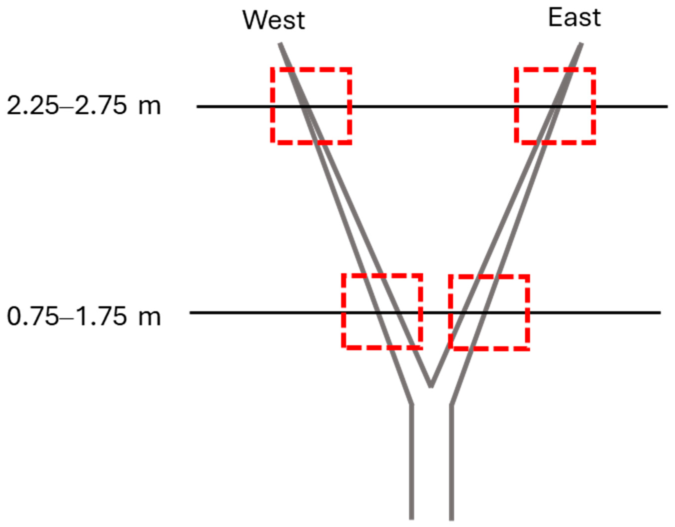 Sensors 25 02034 g001