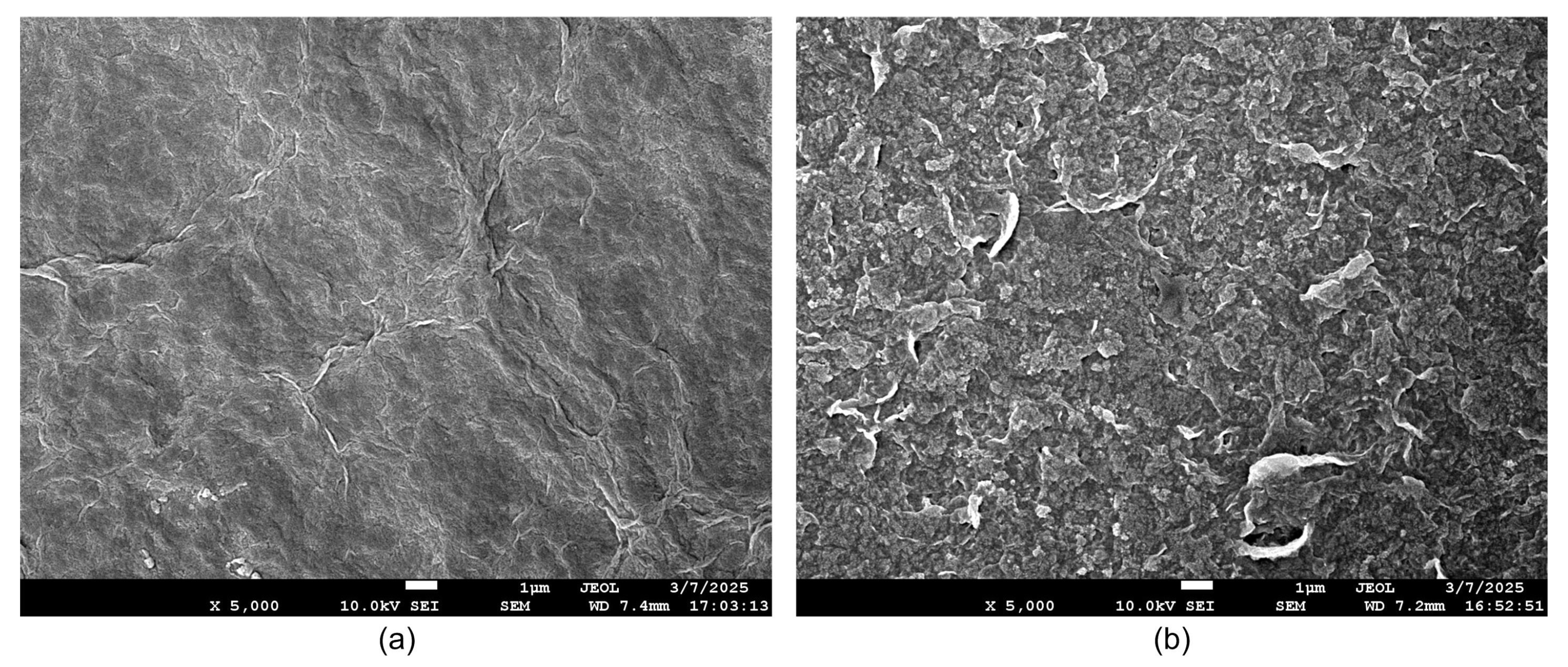 Sensors 25 02050 g003