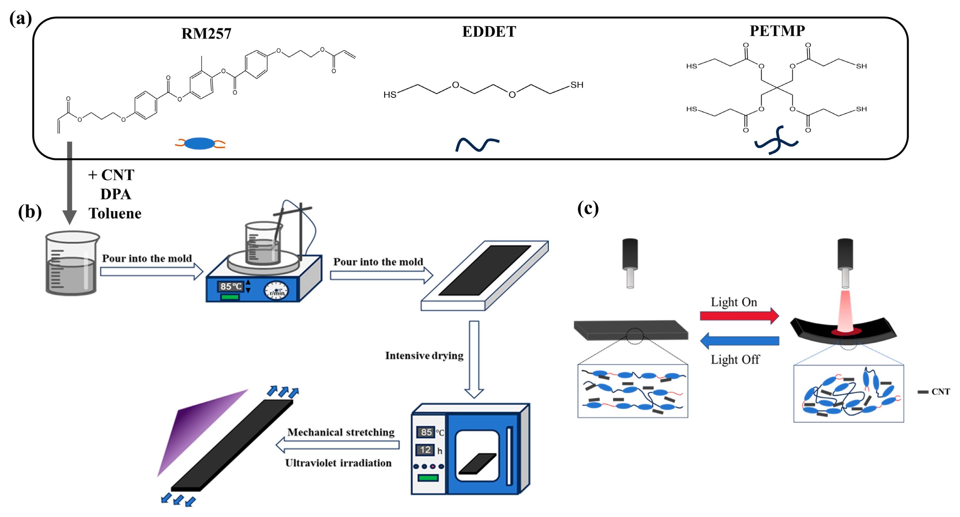 Sensors 25 02051 g001