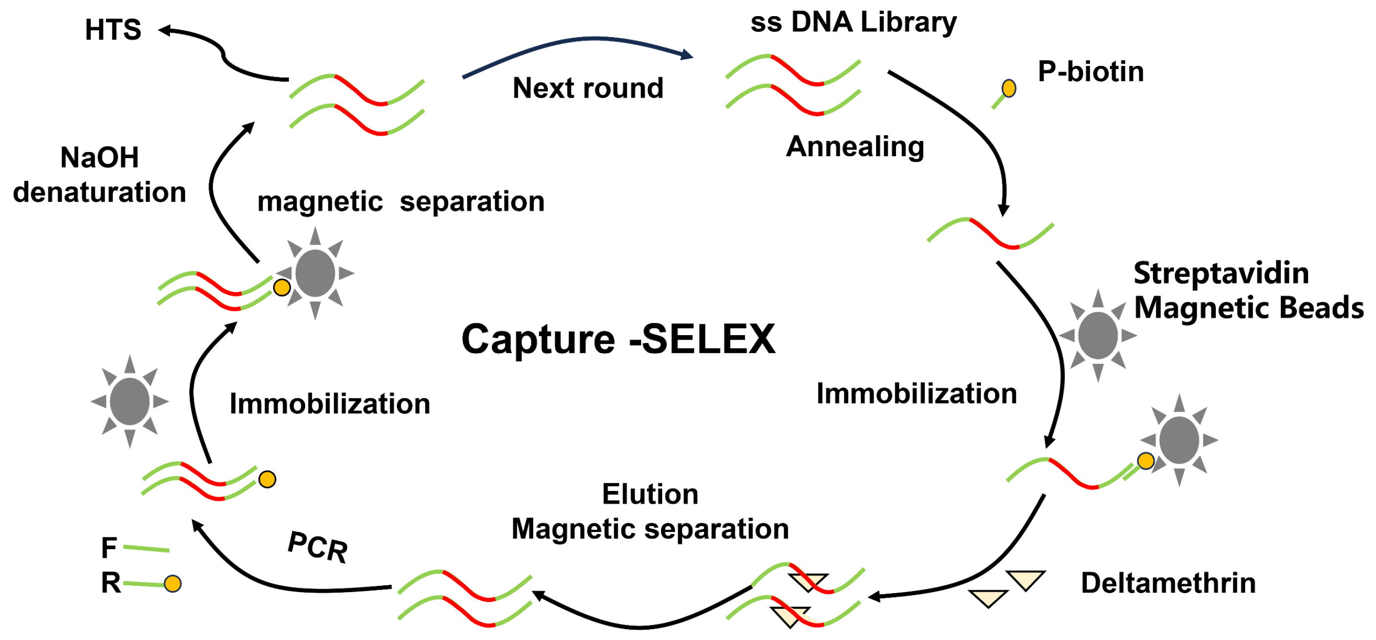Sensors 25 02060 g001