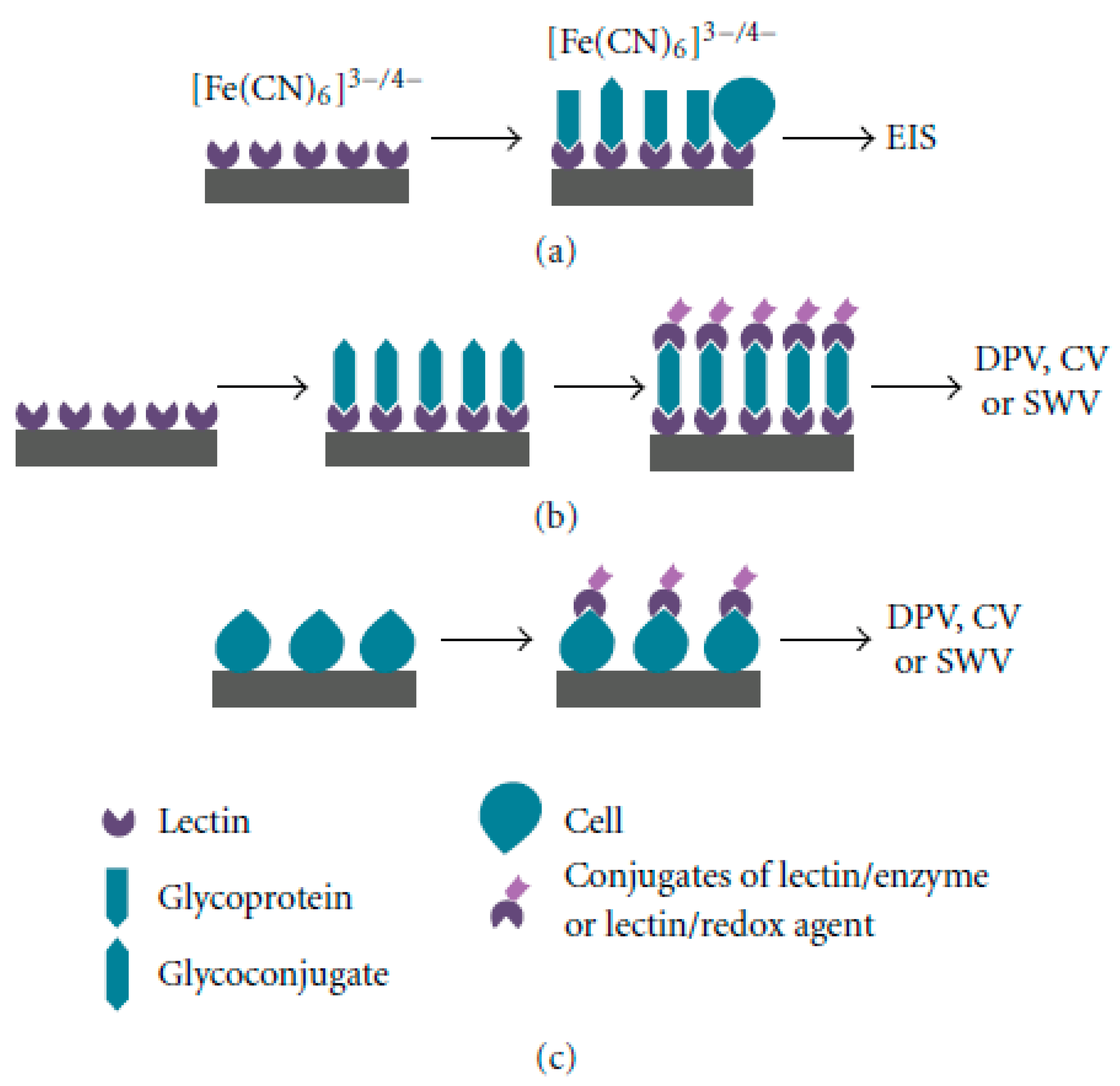 Sensors 25 02064 g002
