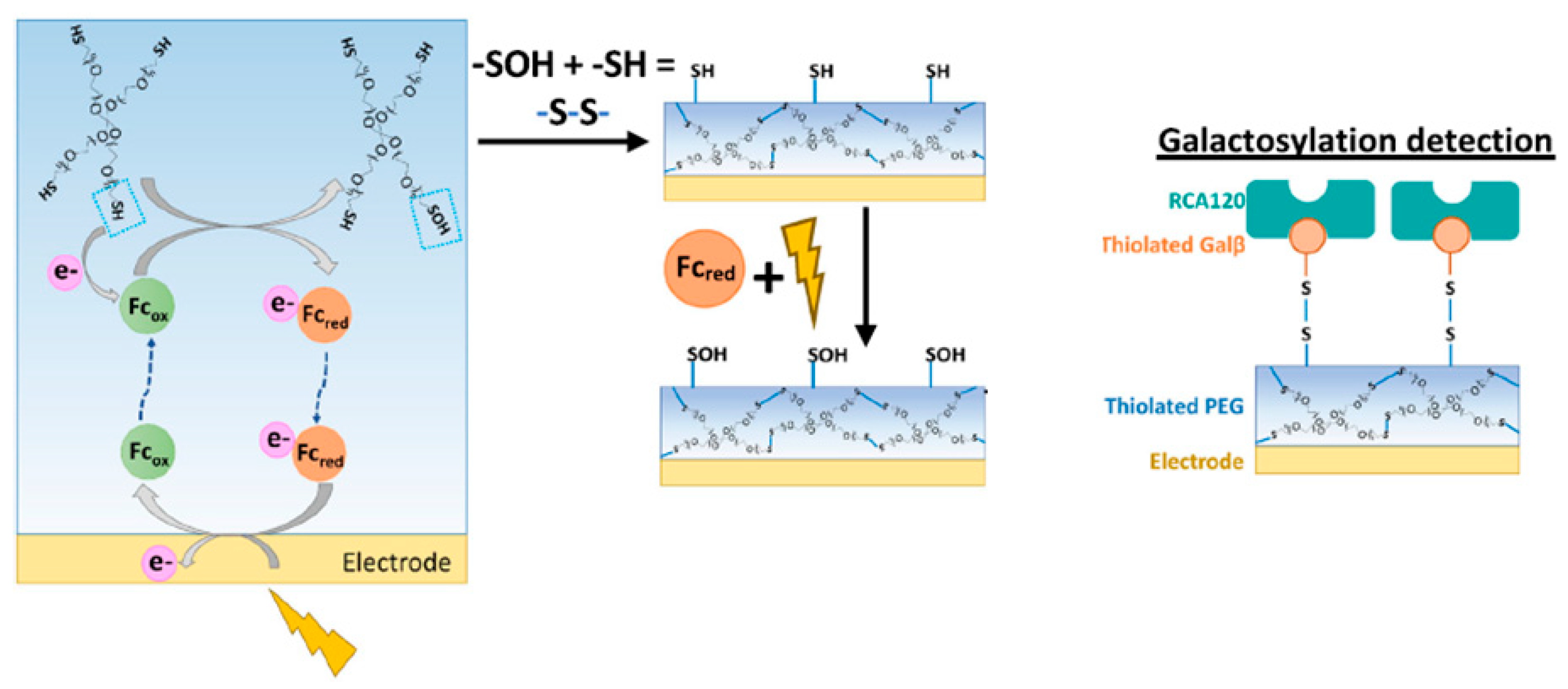 Sensors 25 02064 g004