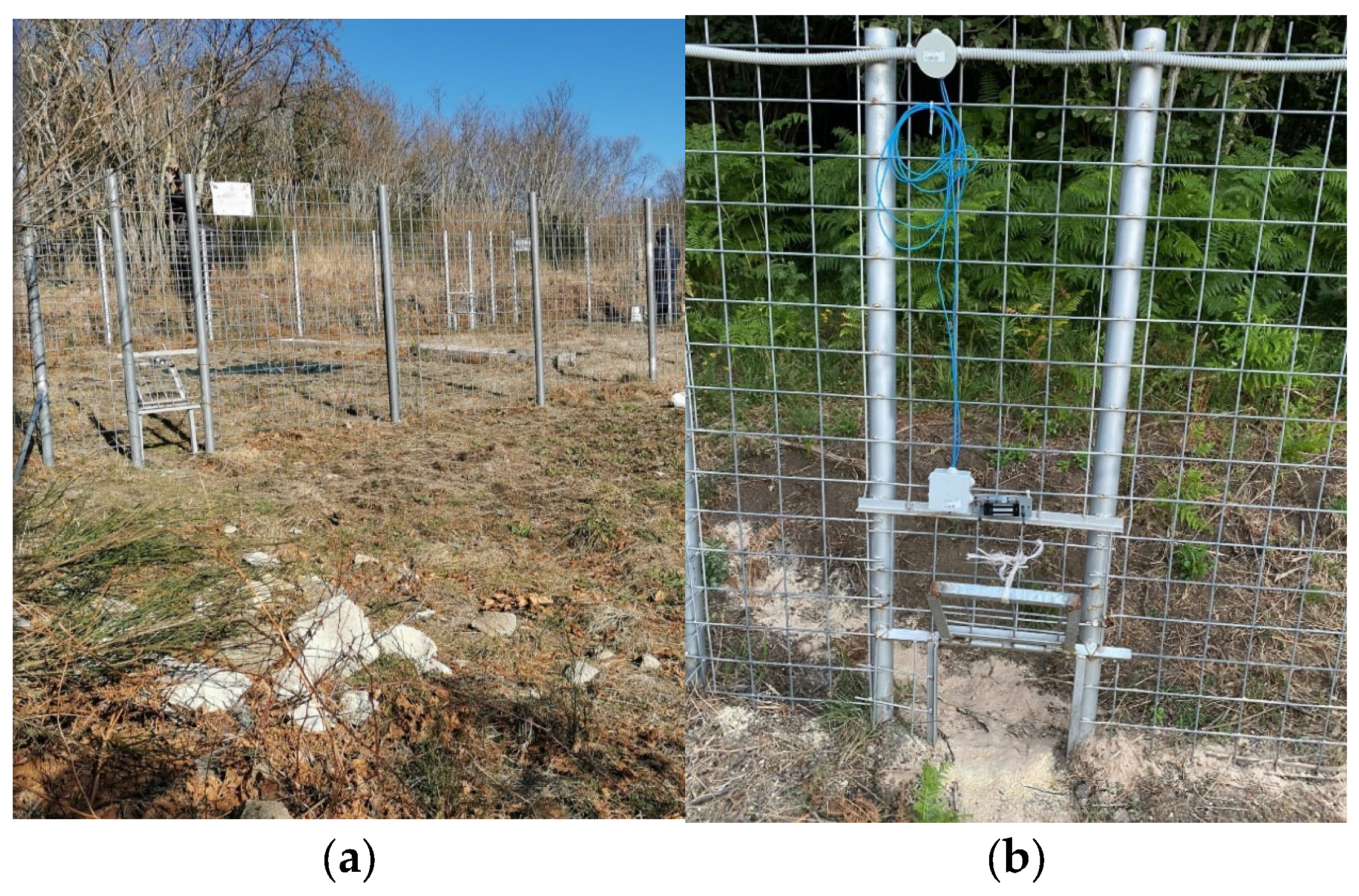 Sensors 25 02071 g004