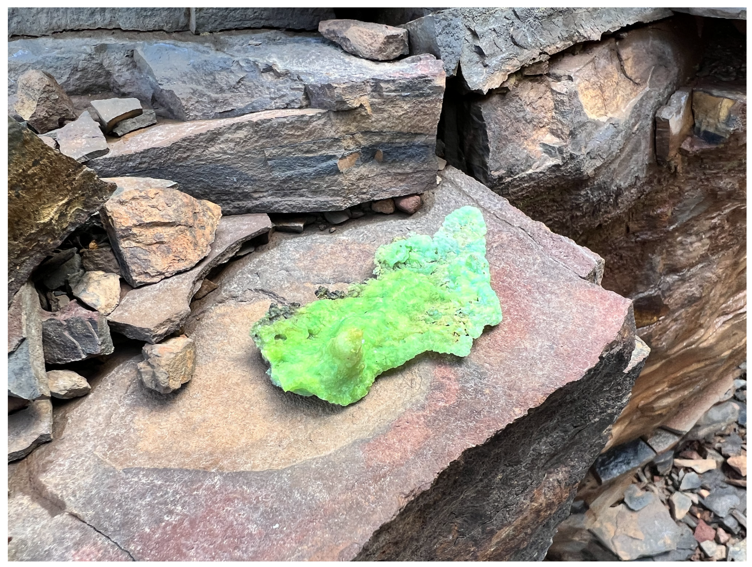 Sensors 25 02094 g005