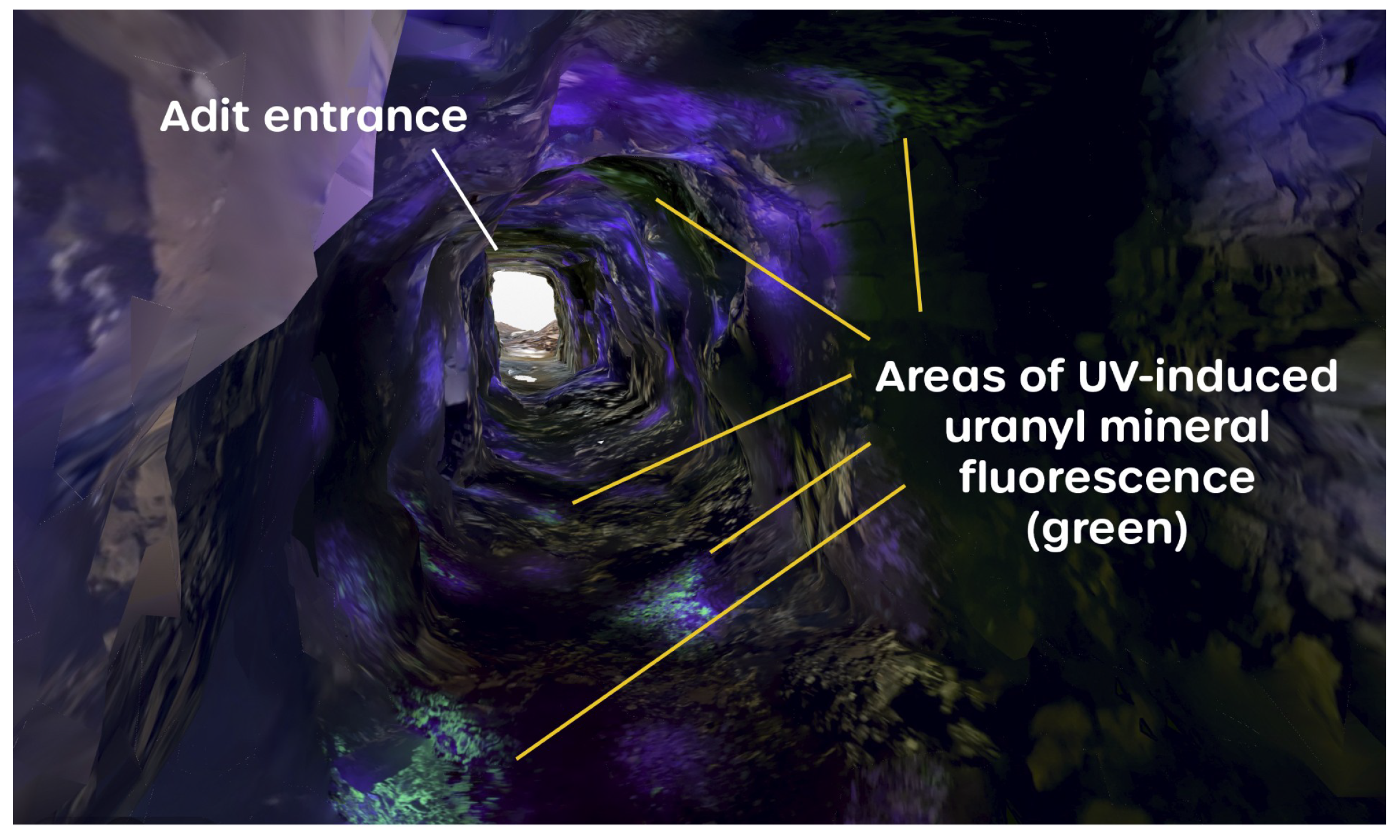 Sensors 25 02094 g010