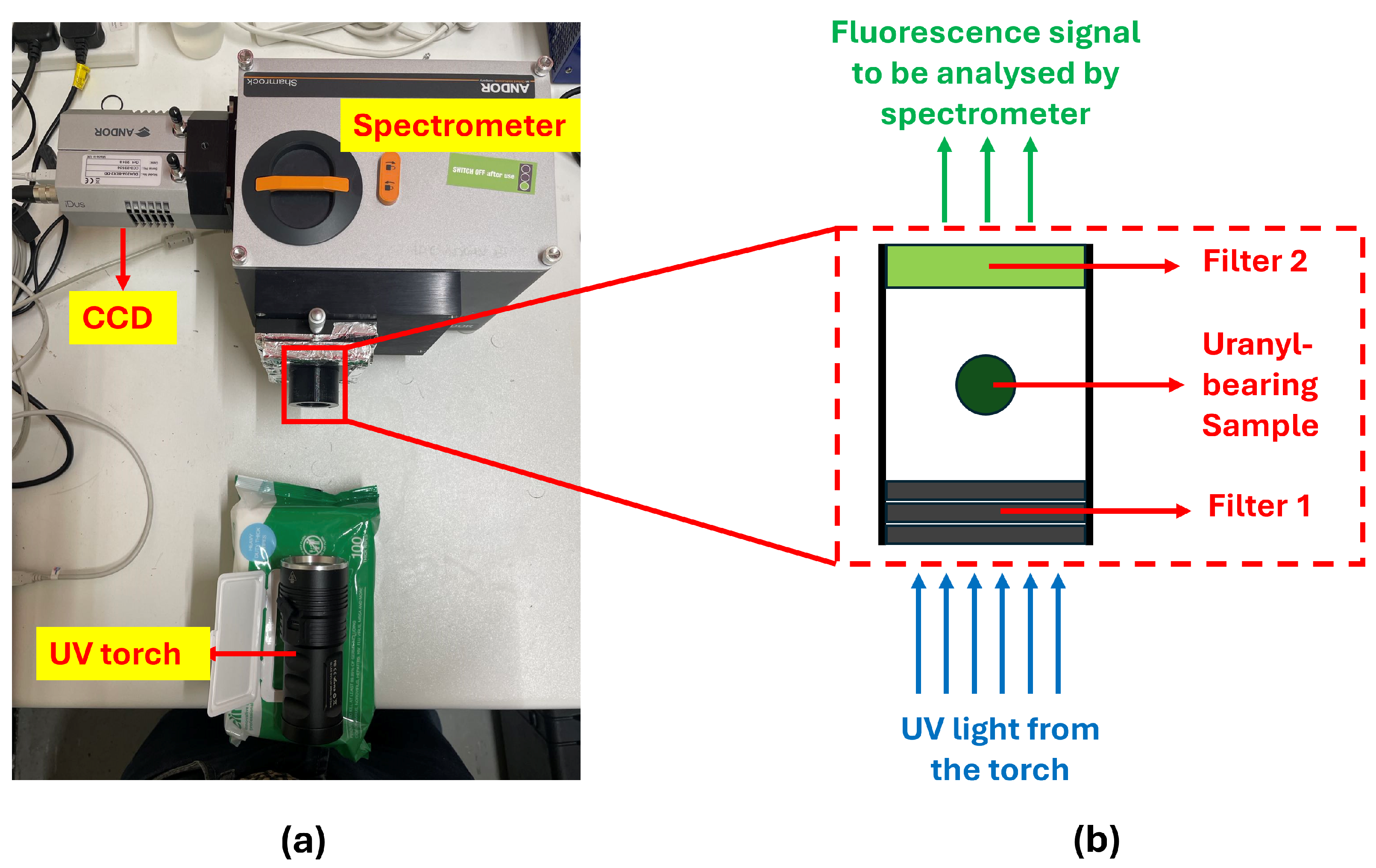 Sensors 25 02094 g012