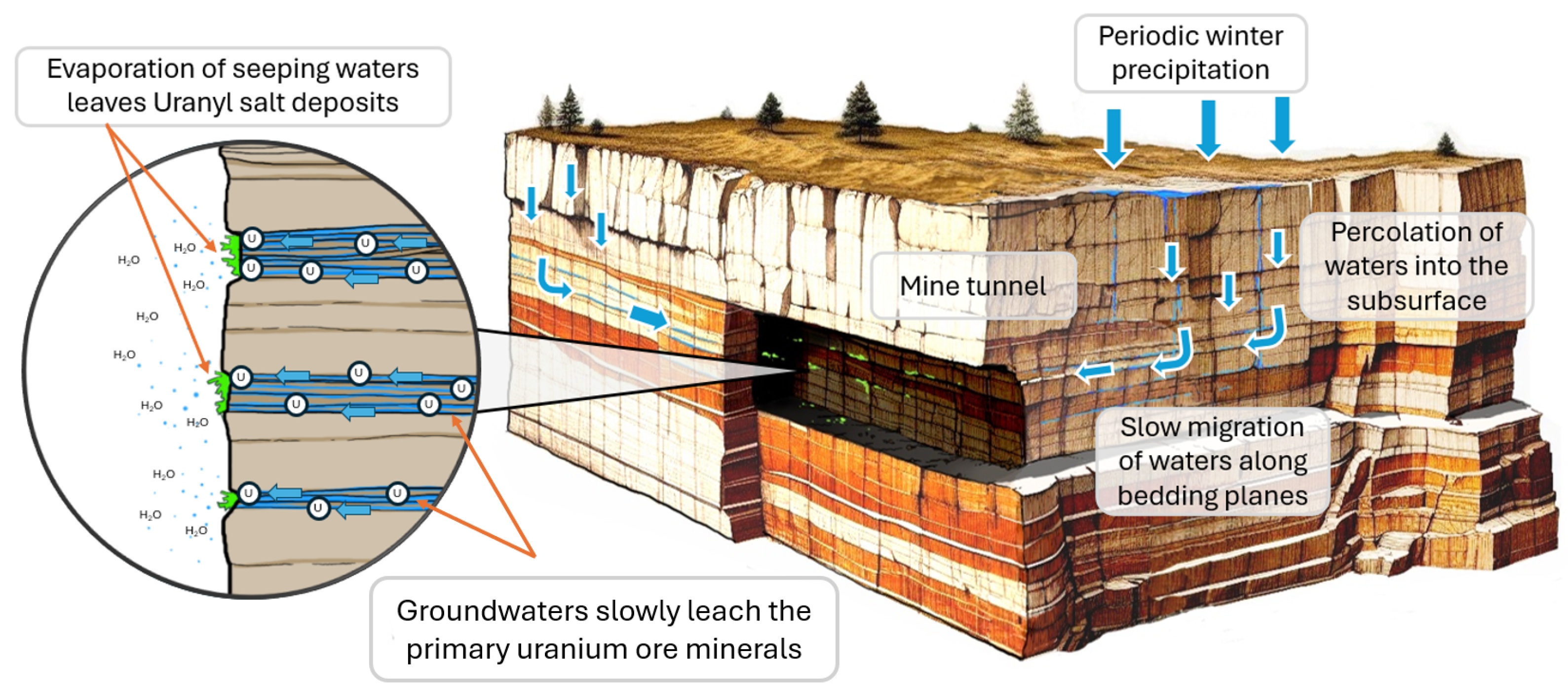Sensors 25 02094 g015