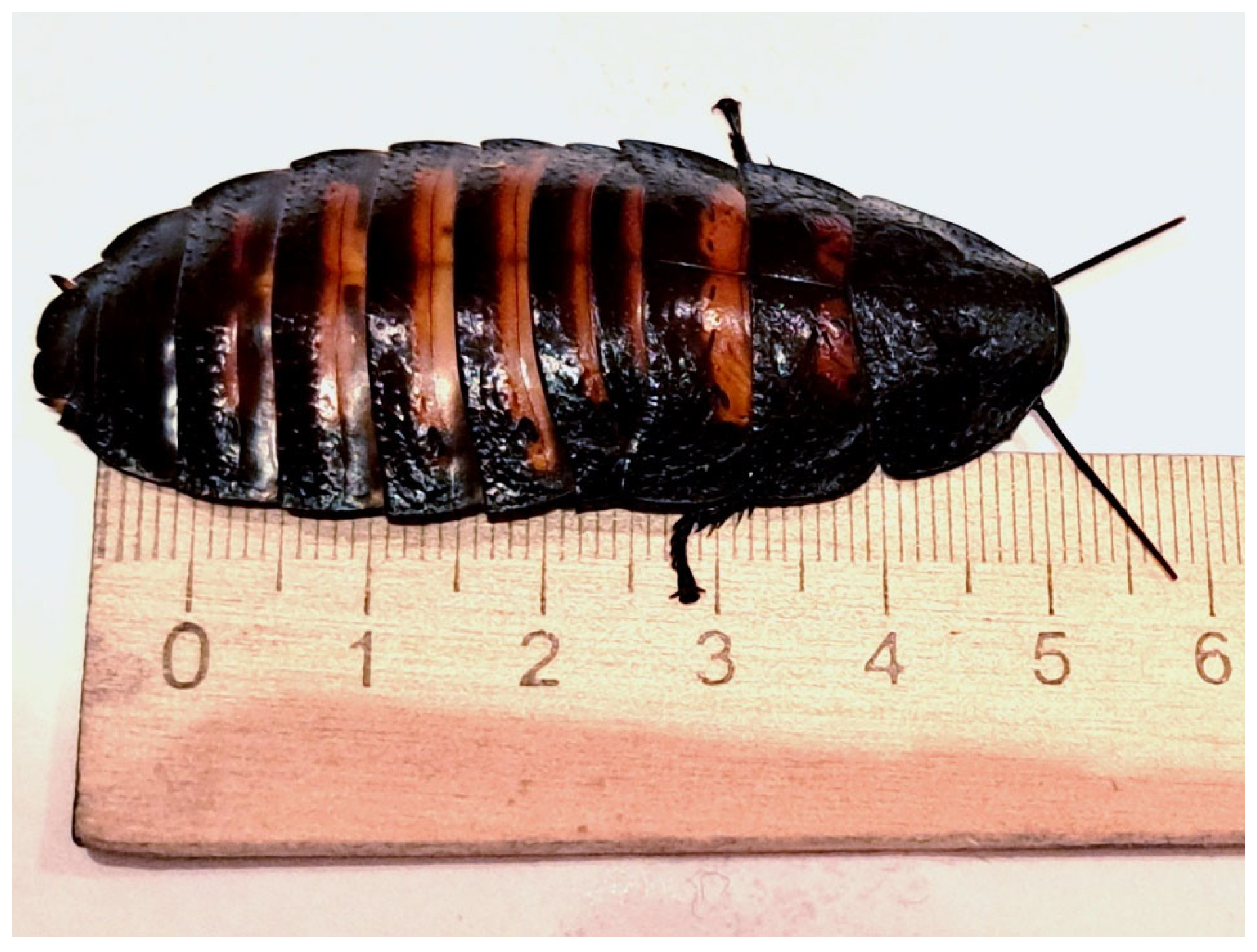 Sensors 25 02101 g003