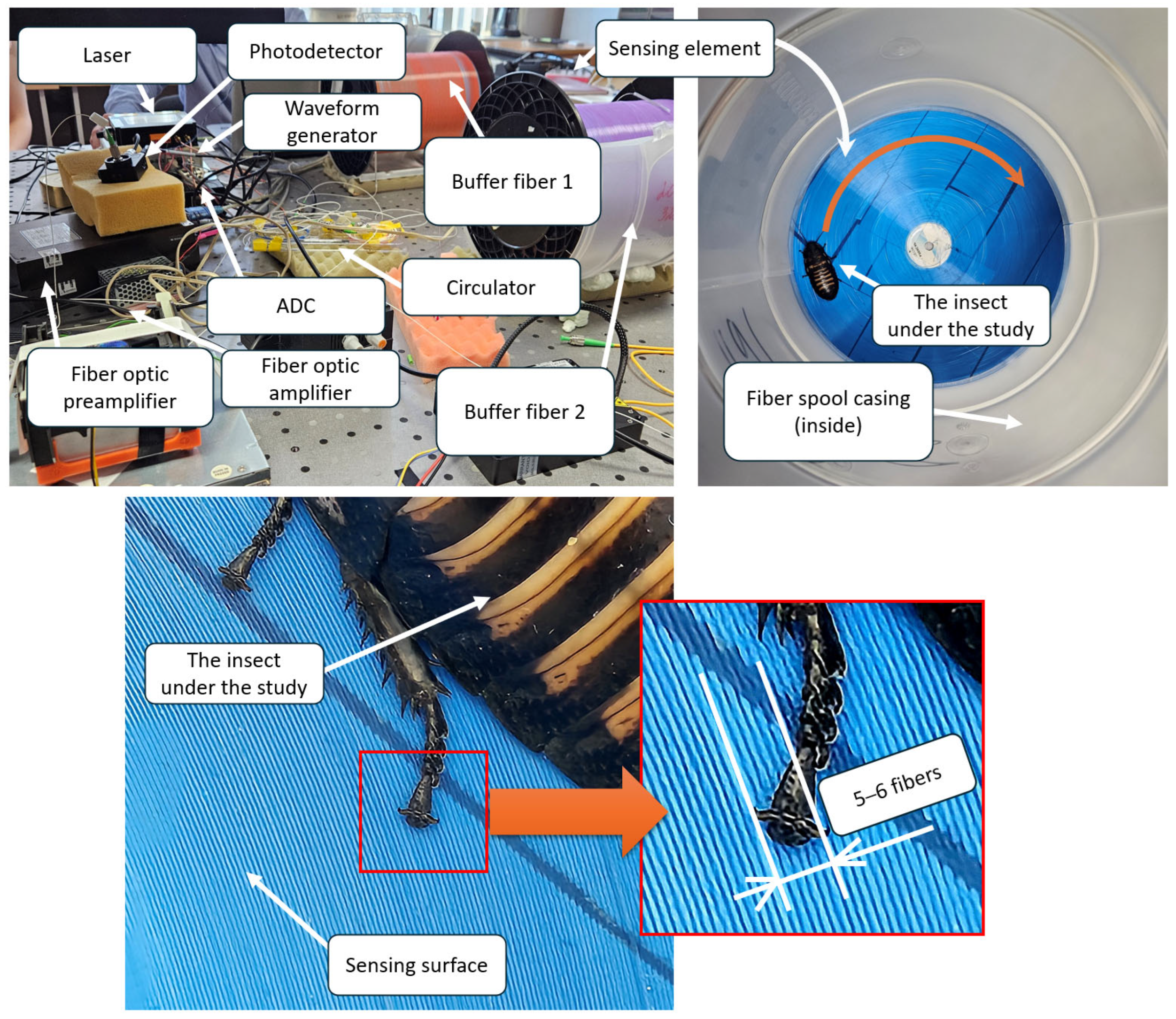 Sensors 25 02101 g006