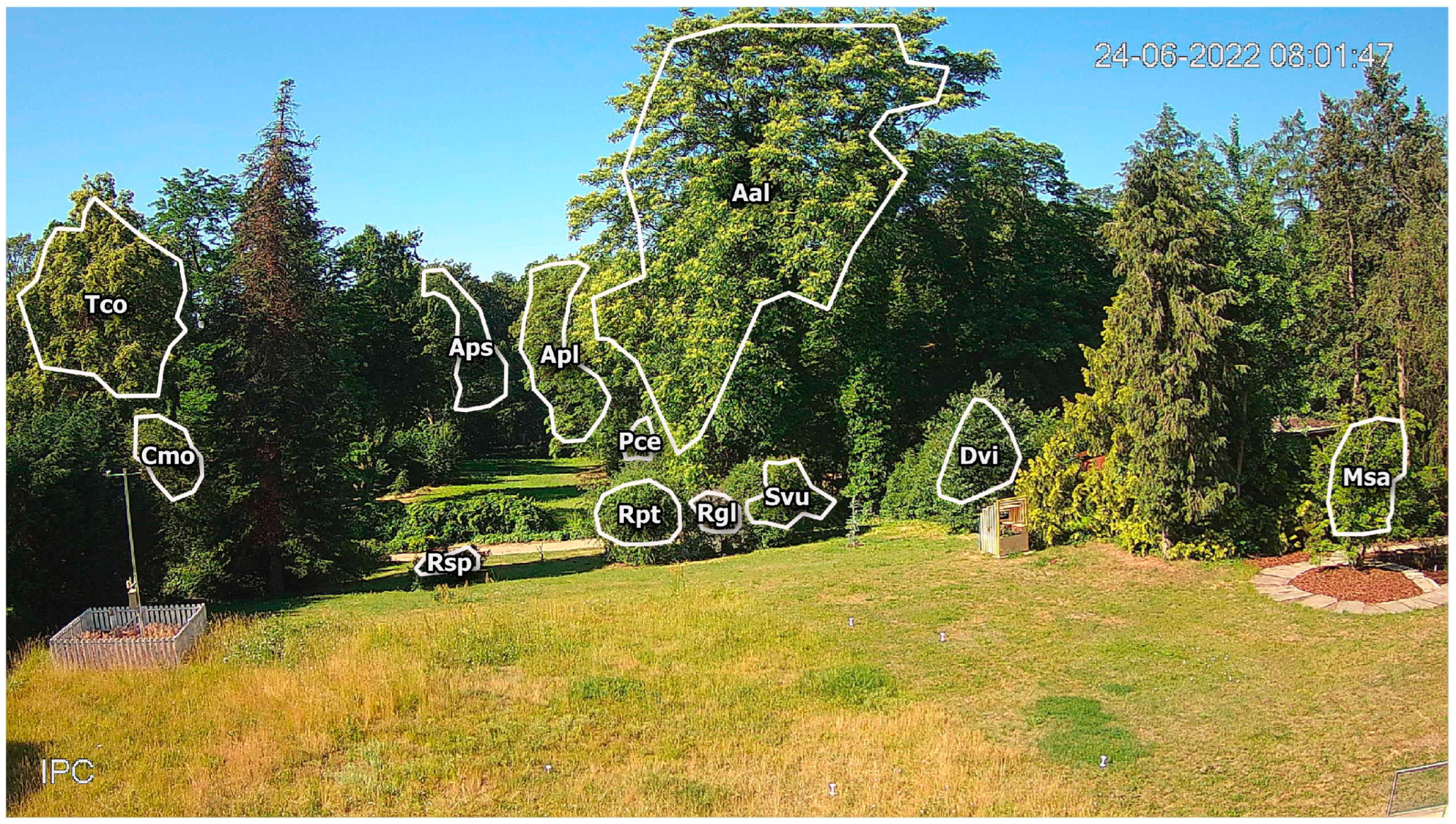 Sensors 25 02106 g001