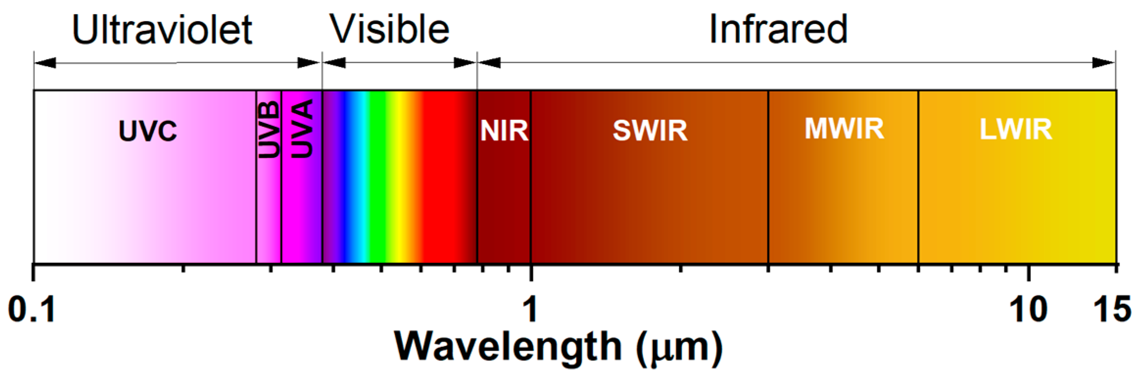 Sensors 25 02116 g001