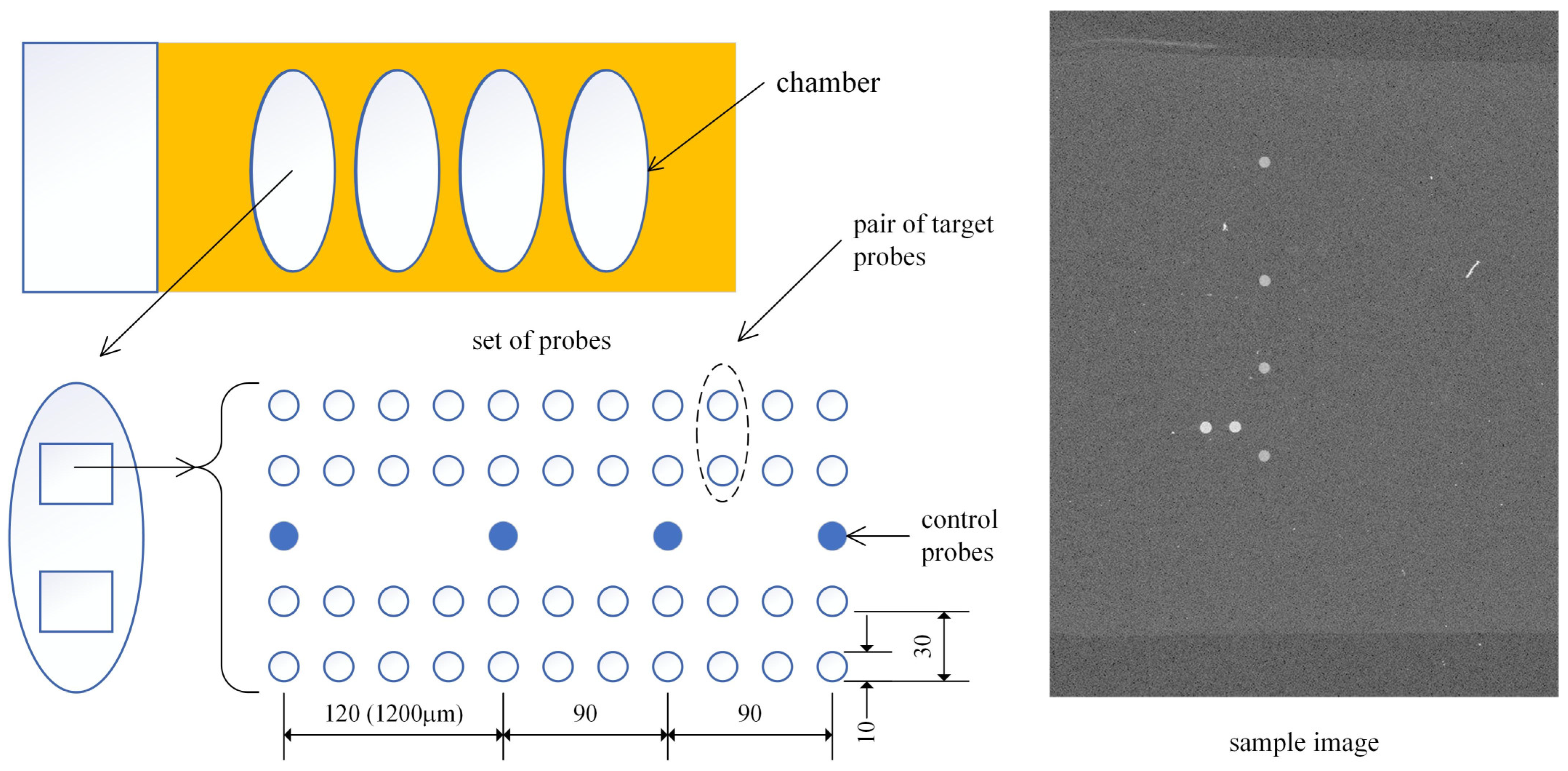Sensors 25 02135 g001