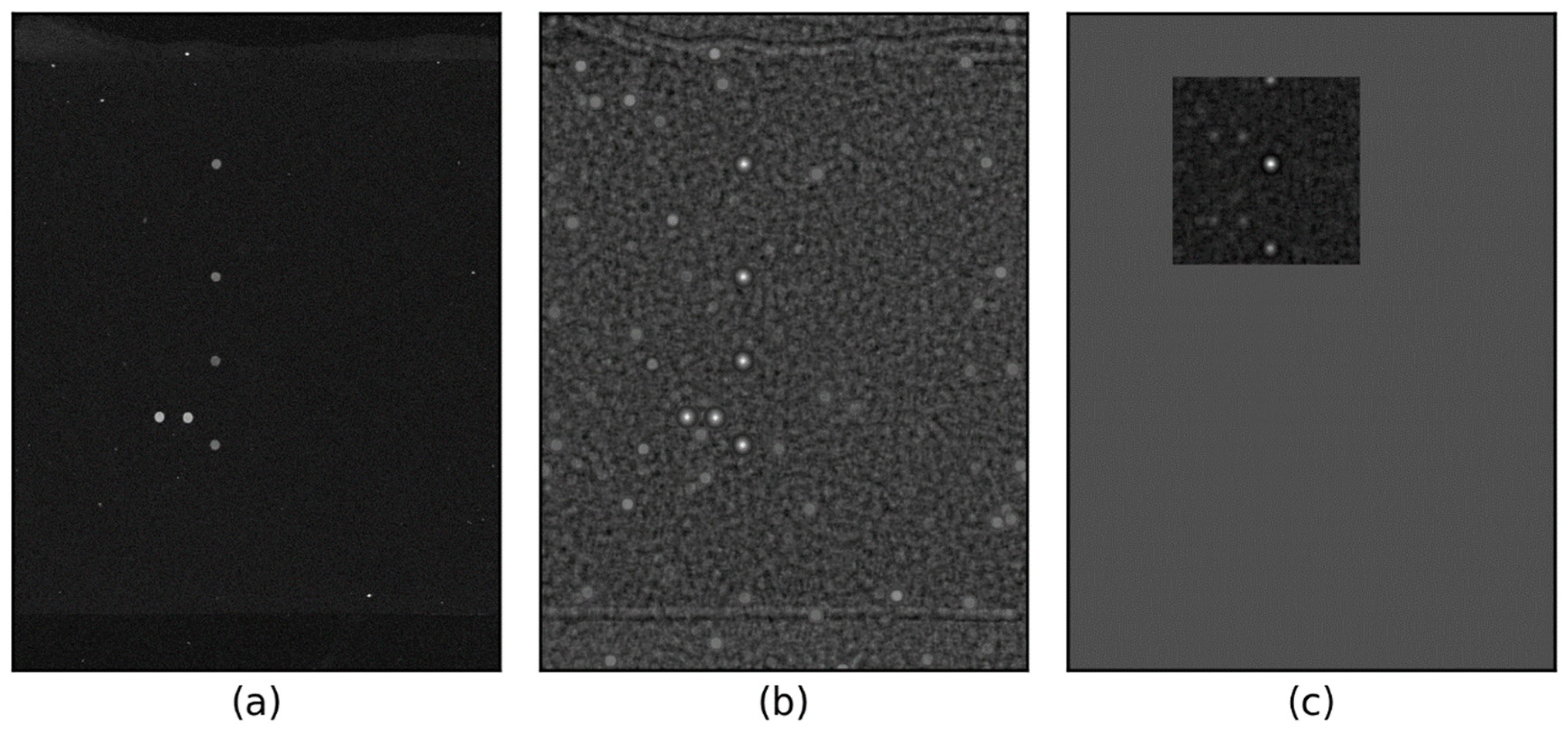 Sensors 25 02135 g003