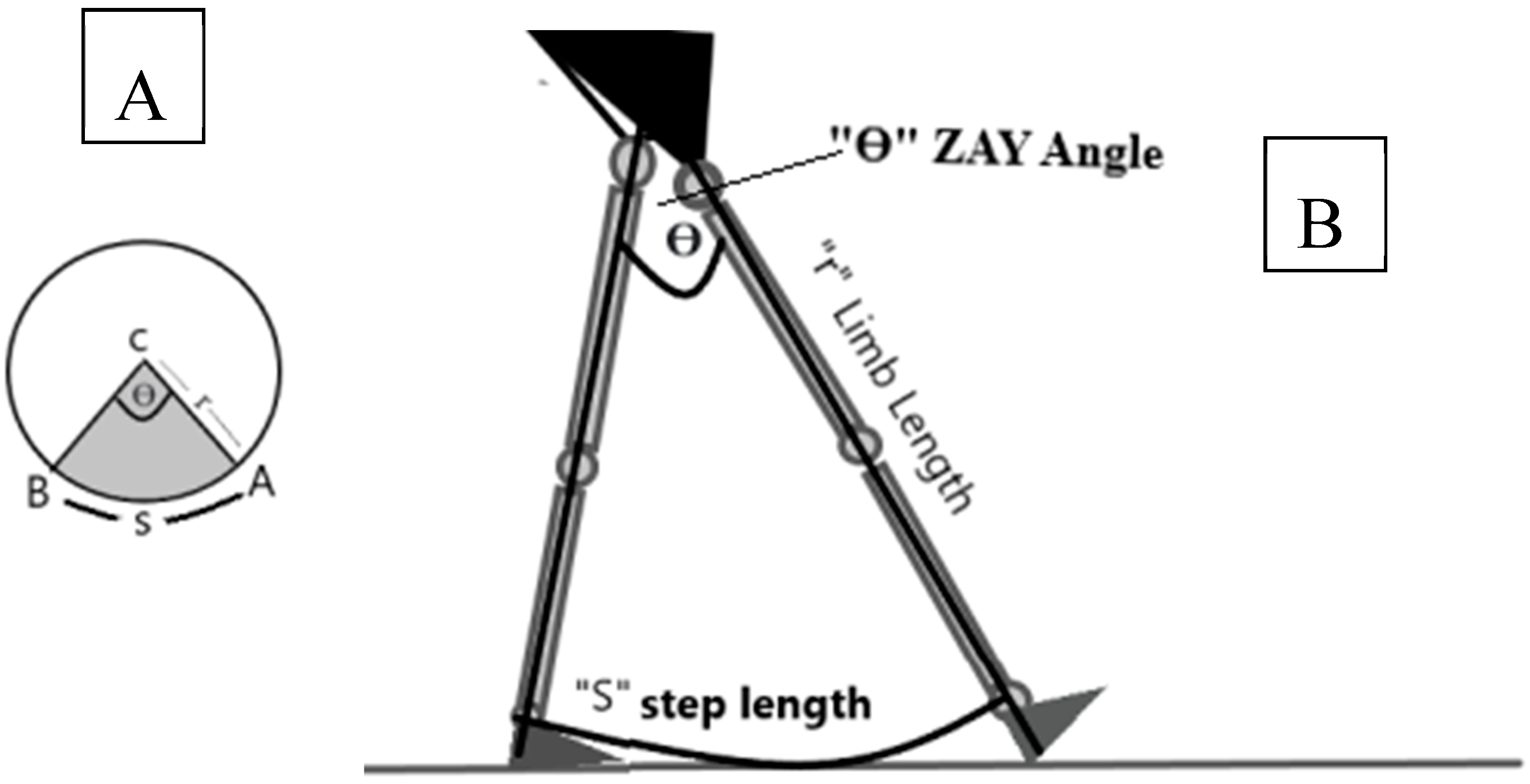 Sensors 25 02142 g001 Sensors 25 02142 g001
