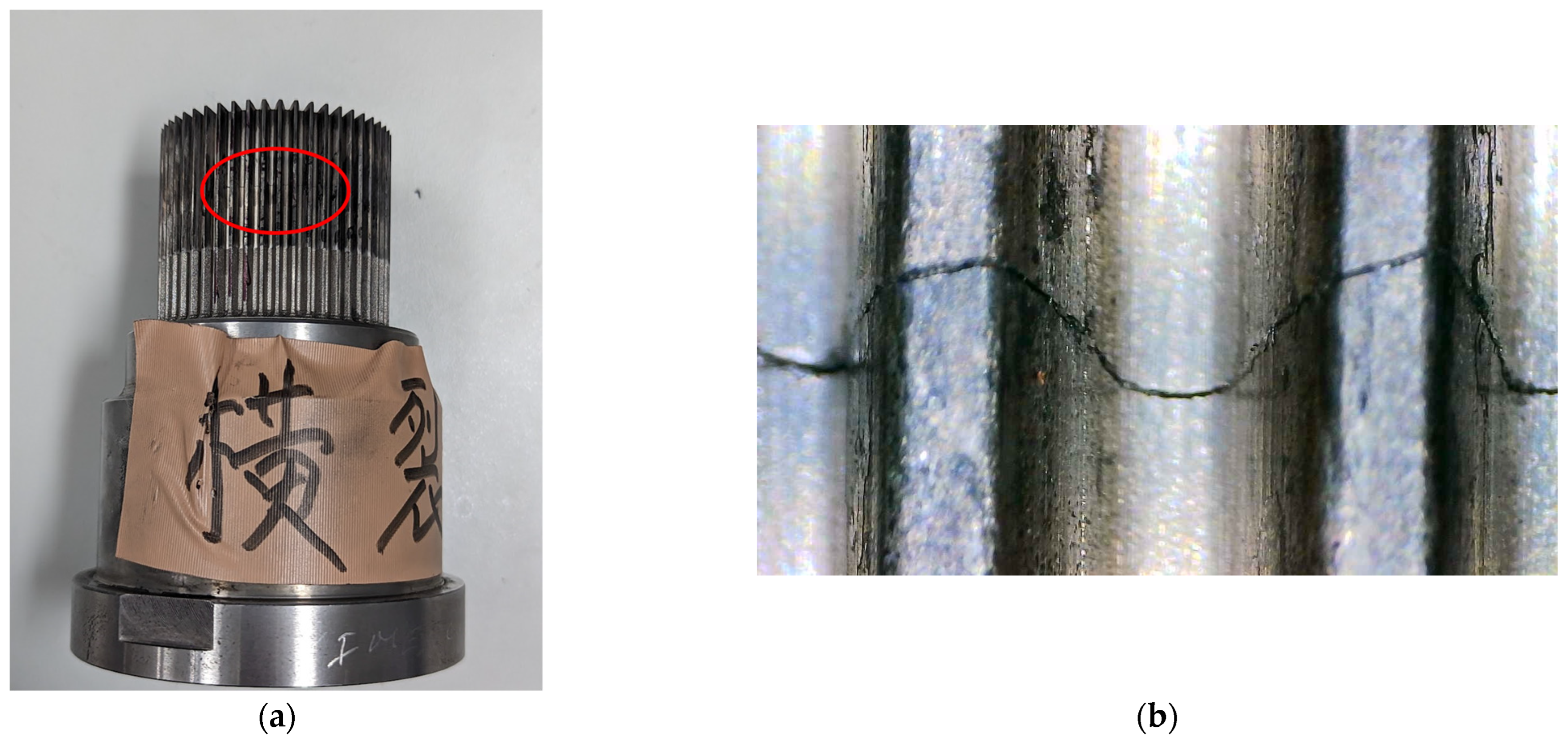 Sensors 25 02143 g001